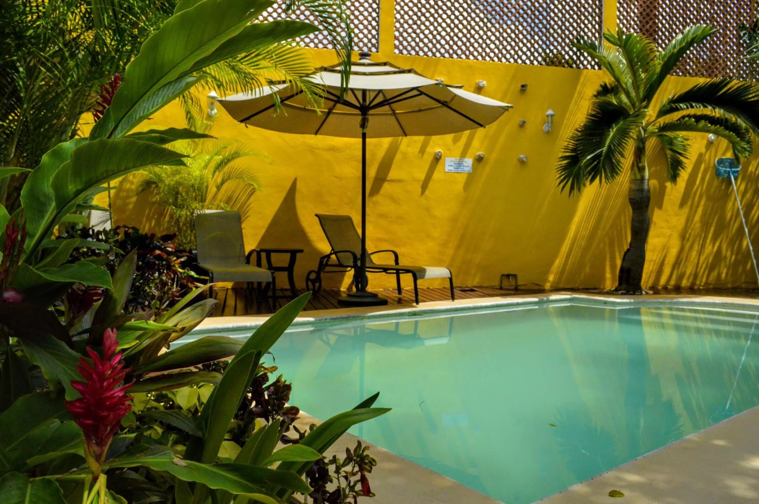 Day in Hotel Marionetas