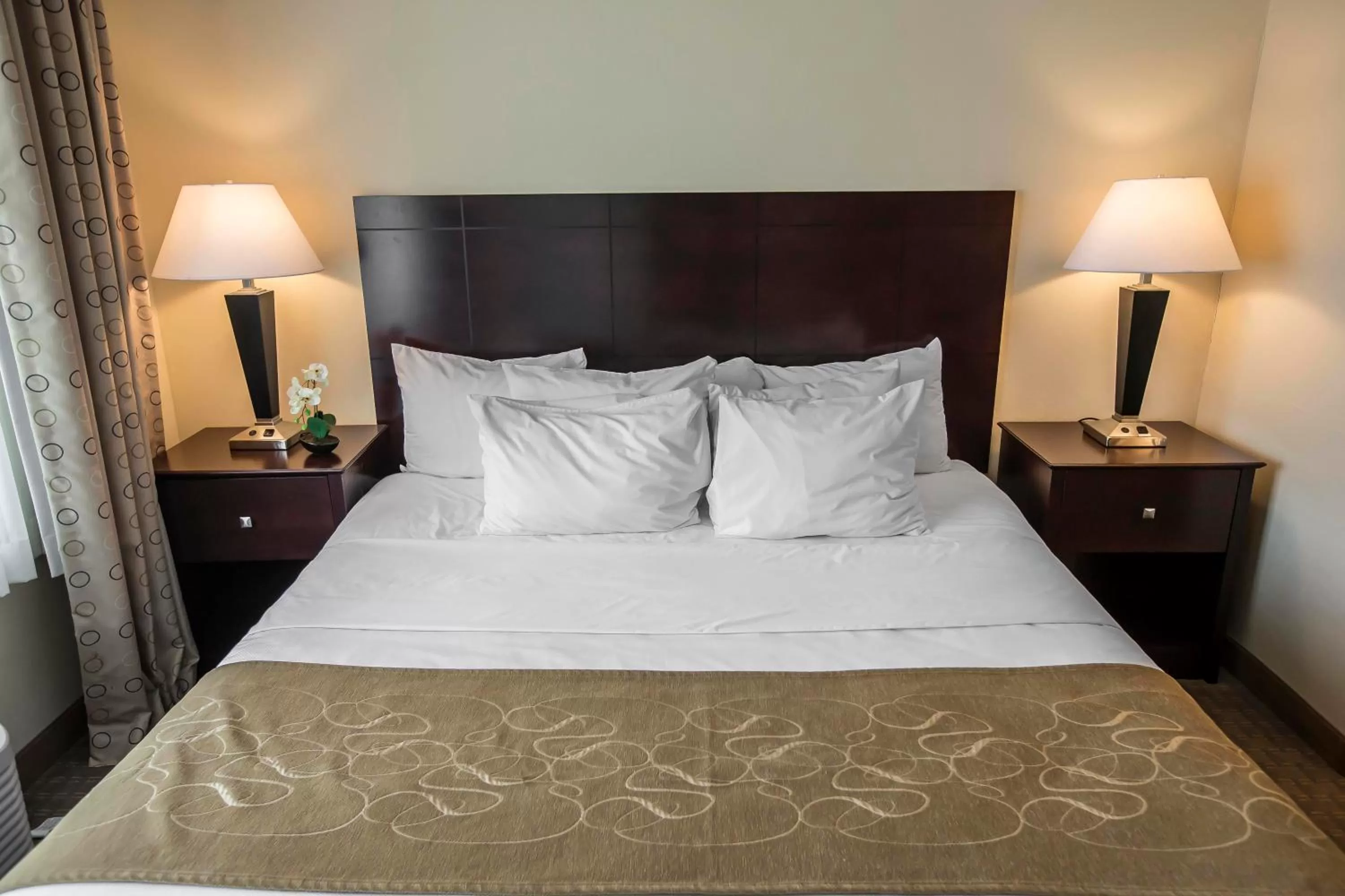 Bed in Comfort Suites University Area Notre Dame-South Bend