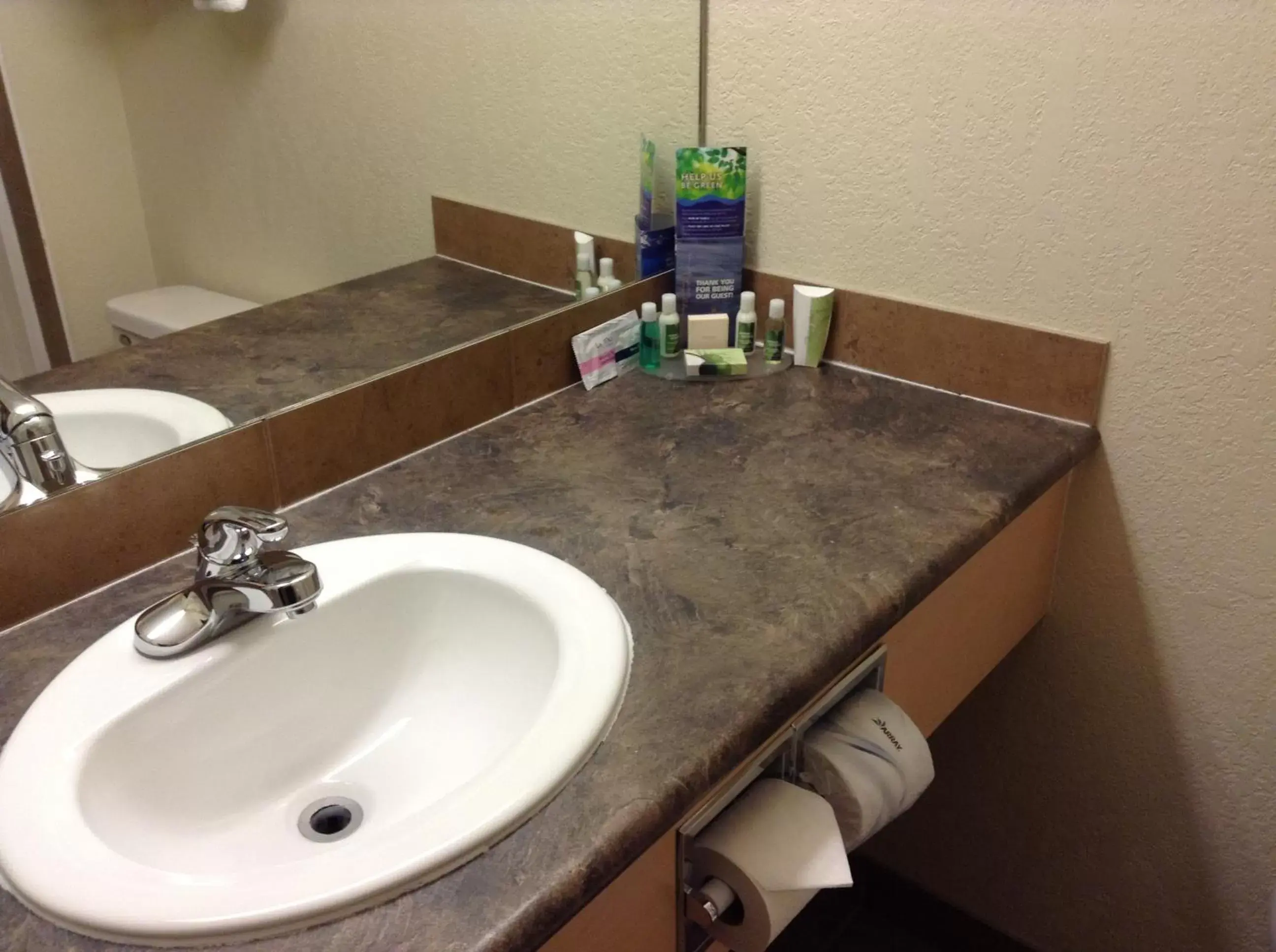Bathroom in Lakeview Inns & Suites - Fort Nelson