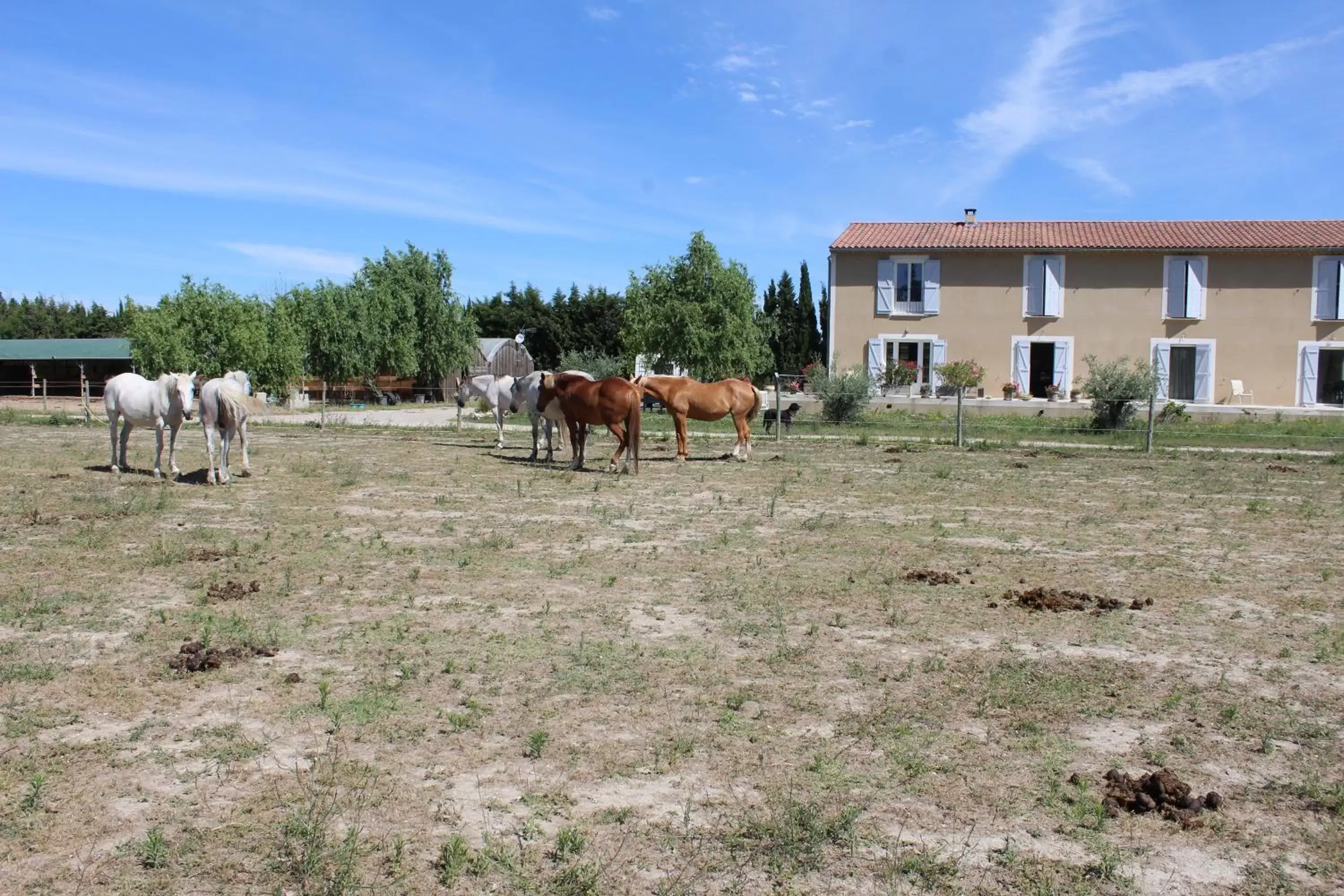 Facade/entrance, Other Animals in La Sarriette, Chambres d'hôtes et gîte d'étape à Eygalieres 13810