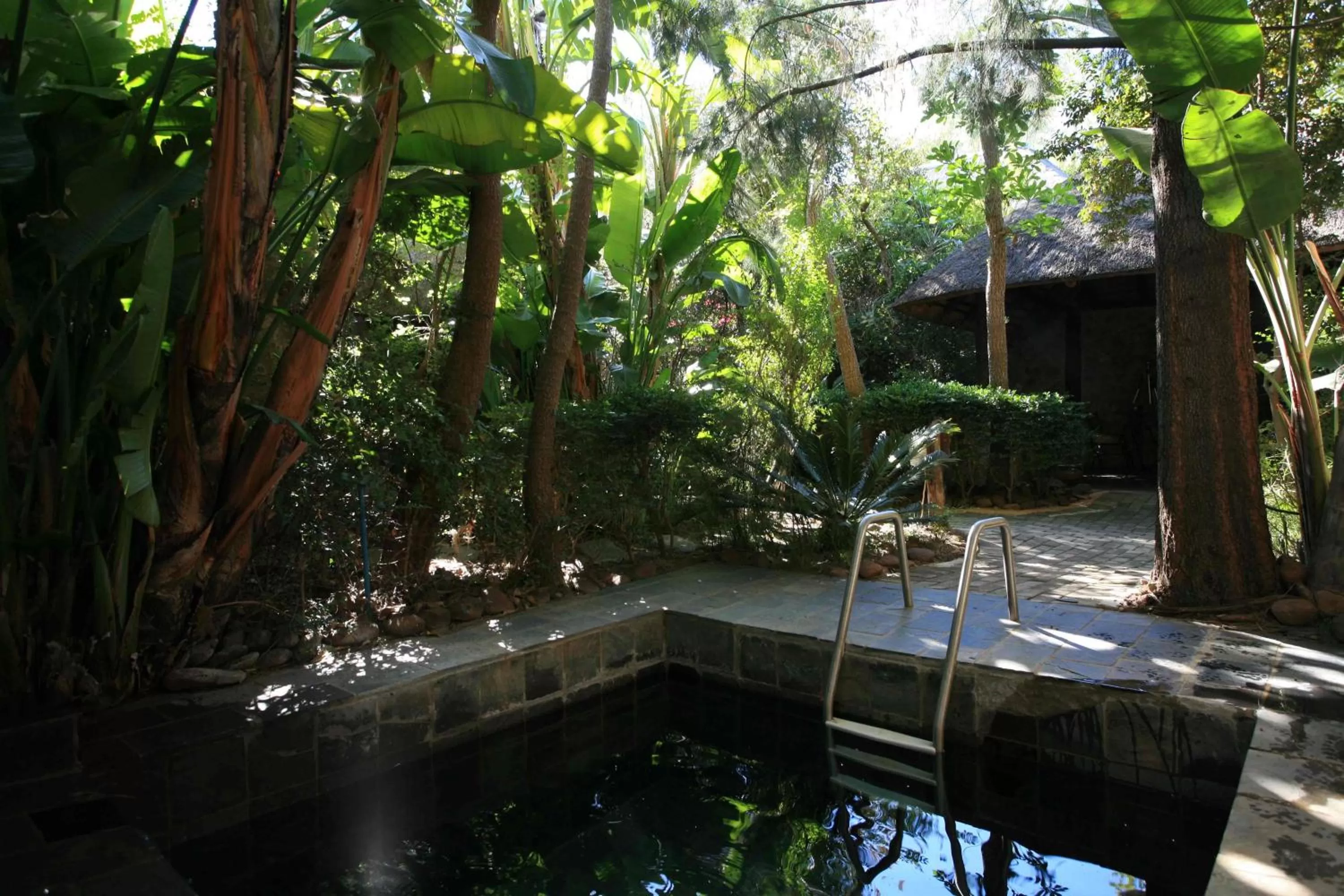 Swimming pool in Misty Hills Country Hotel, Conference Centre & Spa