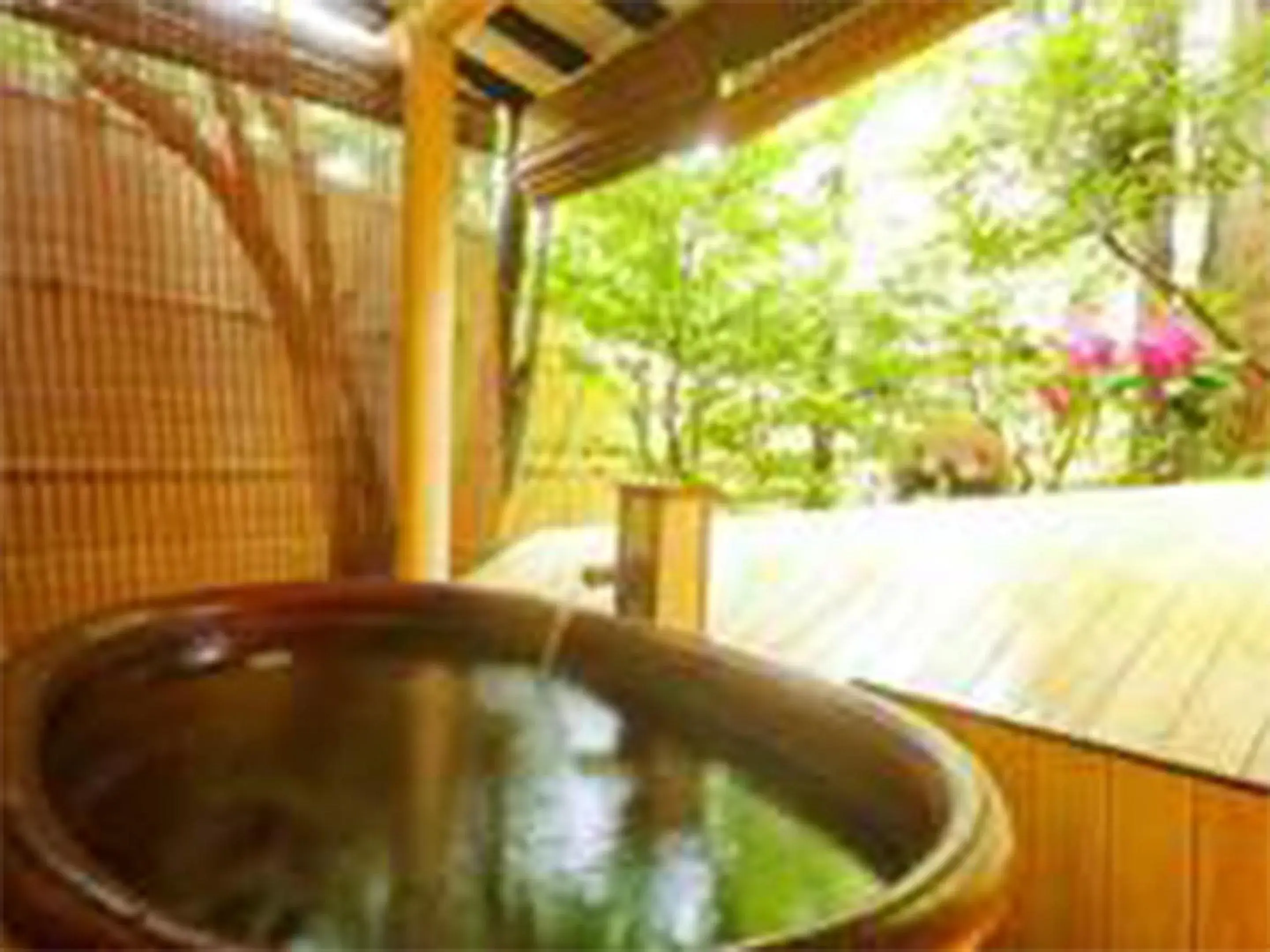 Public Bath in Oyado Hachibei