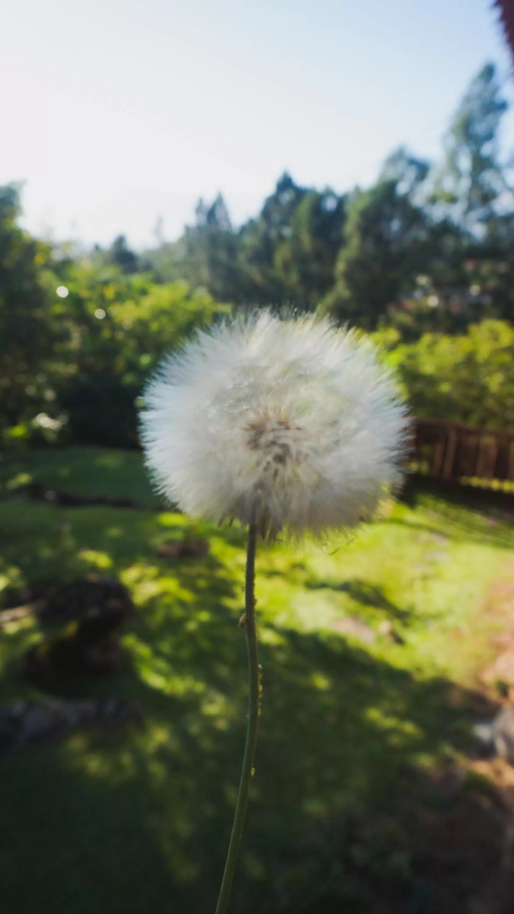 Garden in Hospedaje La Naciente