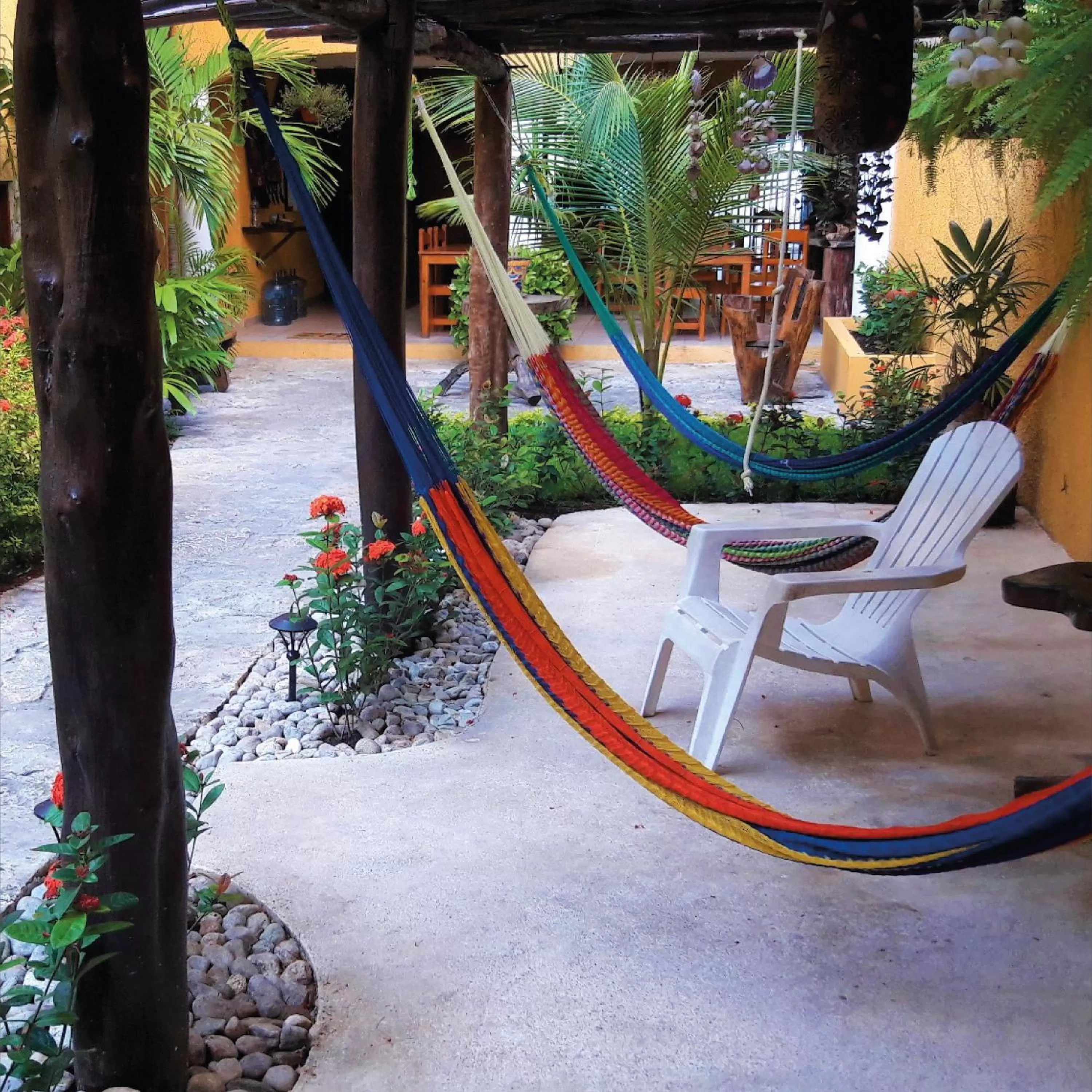 Patio in Hotel Bosque Caribe, 5th Av. zone