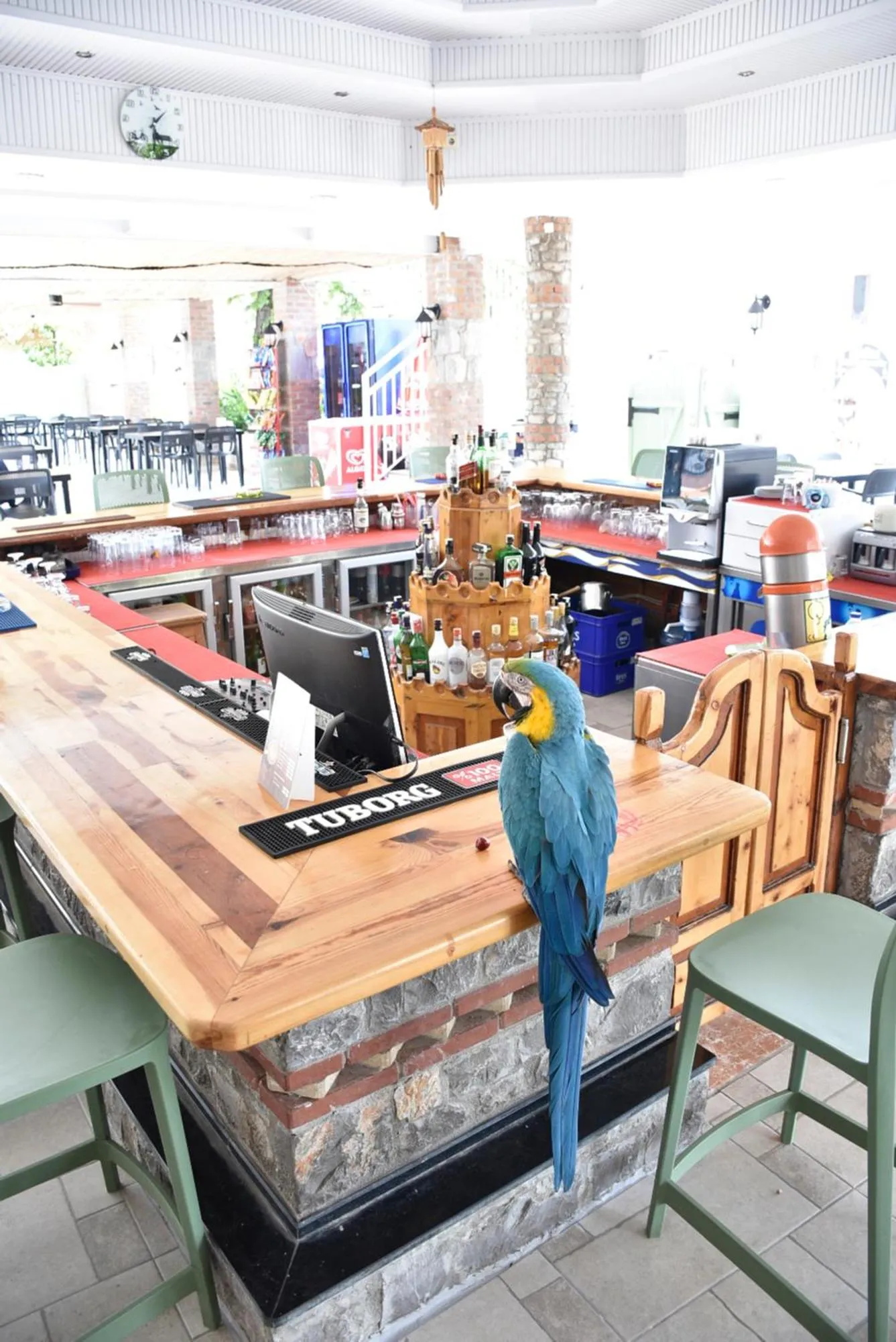 Lounge or bar in Magic Tulip Hotel