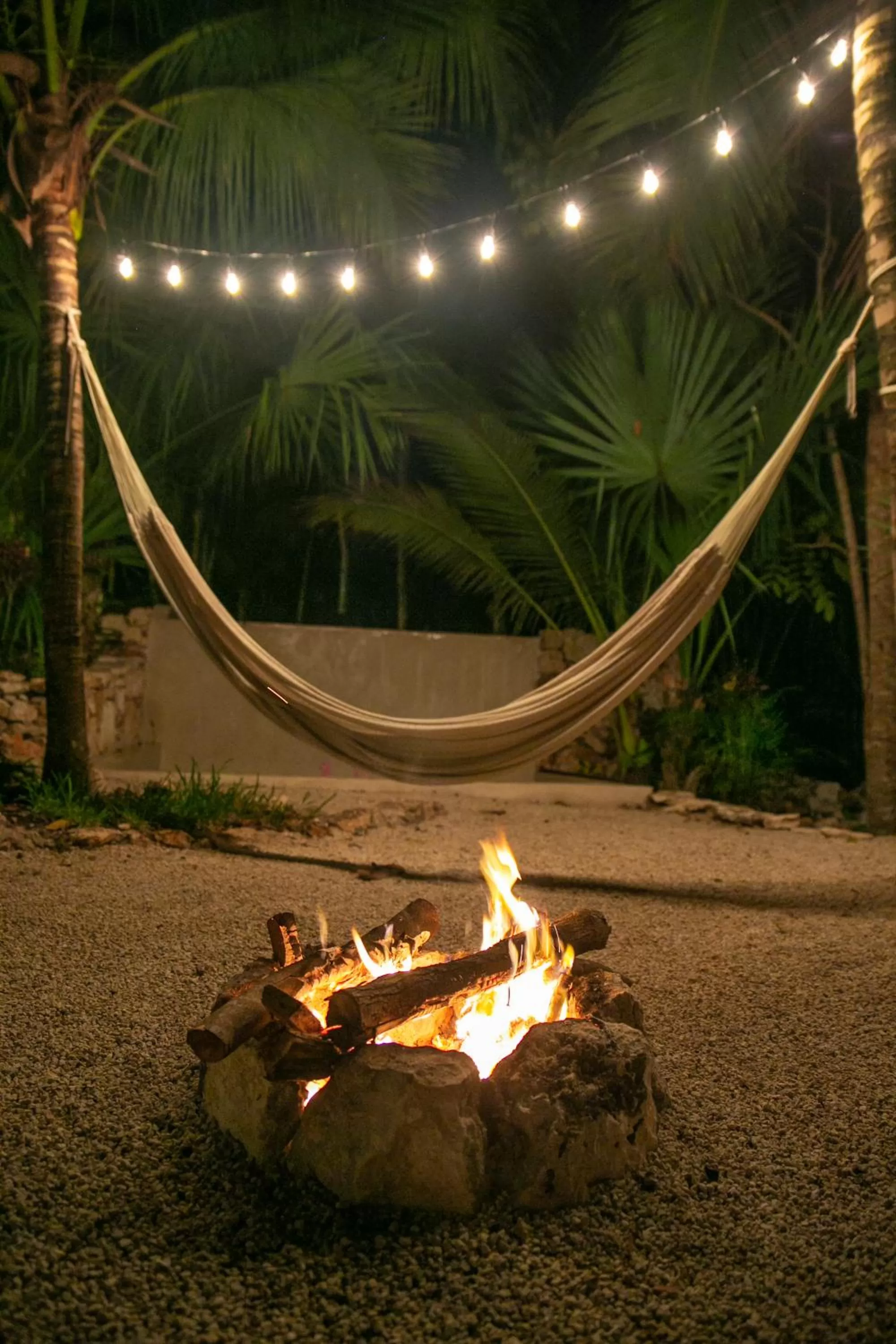 Area and facilities in Hotel Buenavista Bacalar Jungle Experience