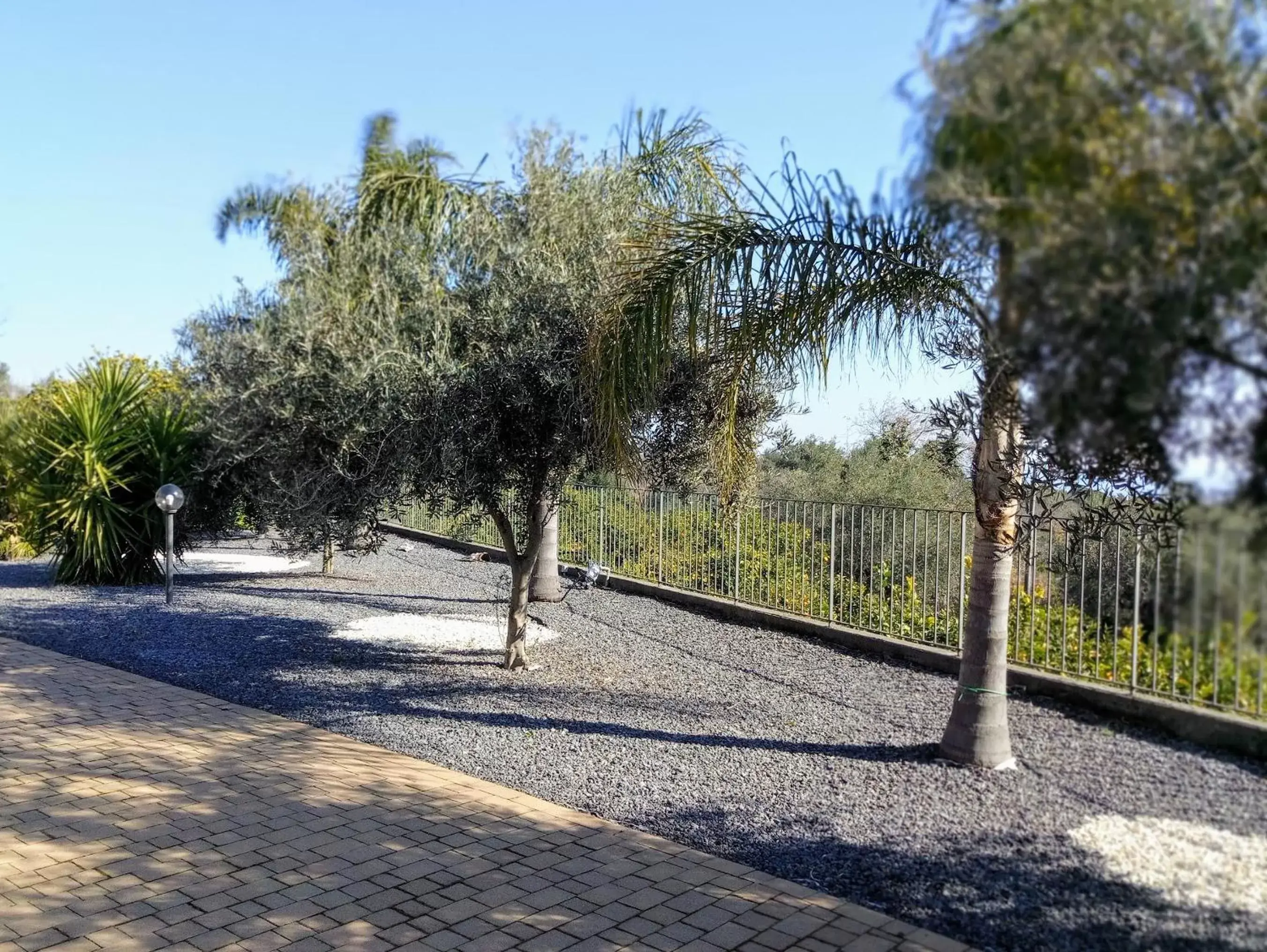 Garden view in Villa Feluchia Tra Il Mare E Il Vulcano