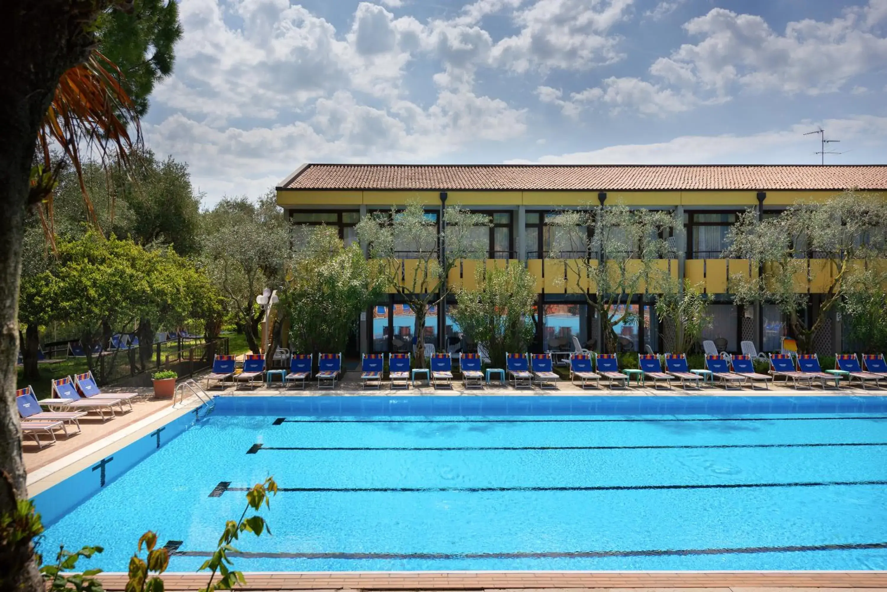 Garden, Swimming Pool in Sport Hotel Olimpo