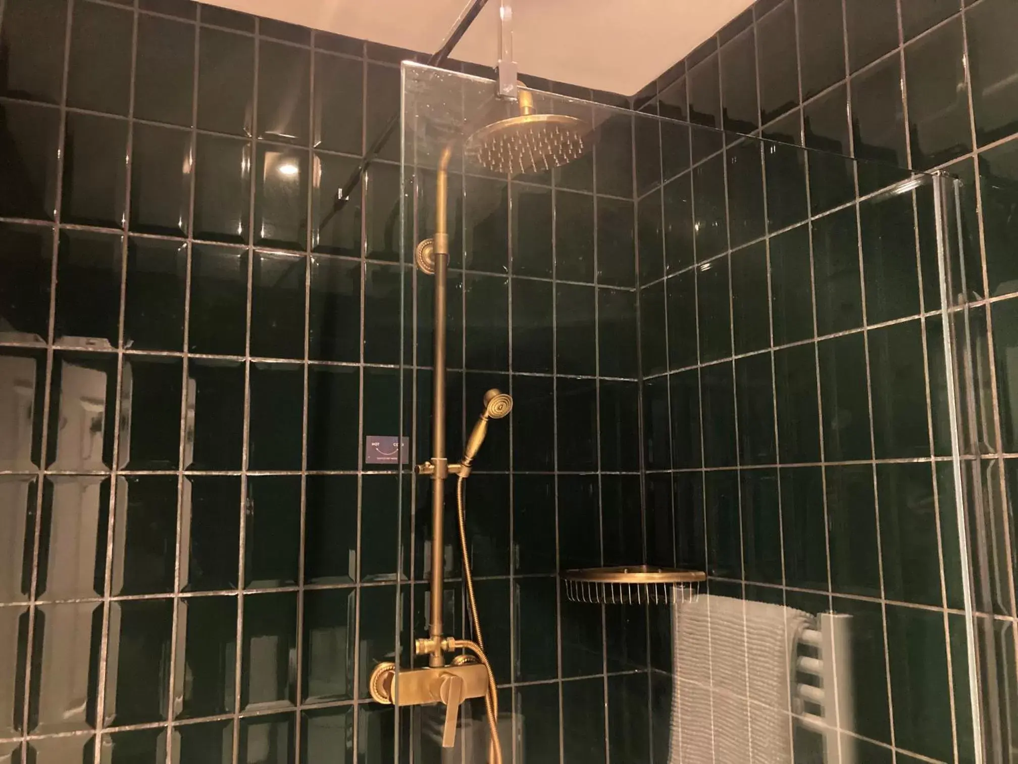 Shower, Bathroom in 15 Grosvenor