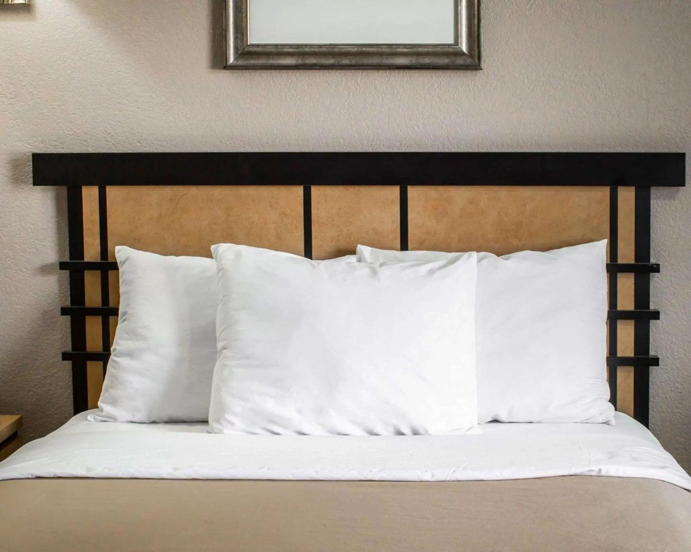 Photo of the whole room, Bed in Econo Lodge Inn & Suites Colonie Center Mall