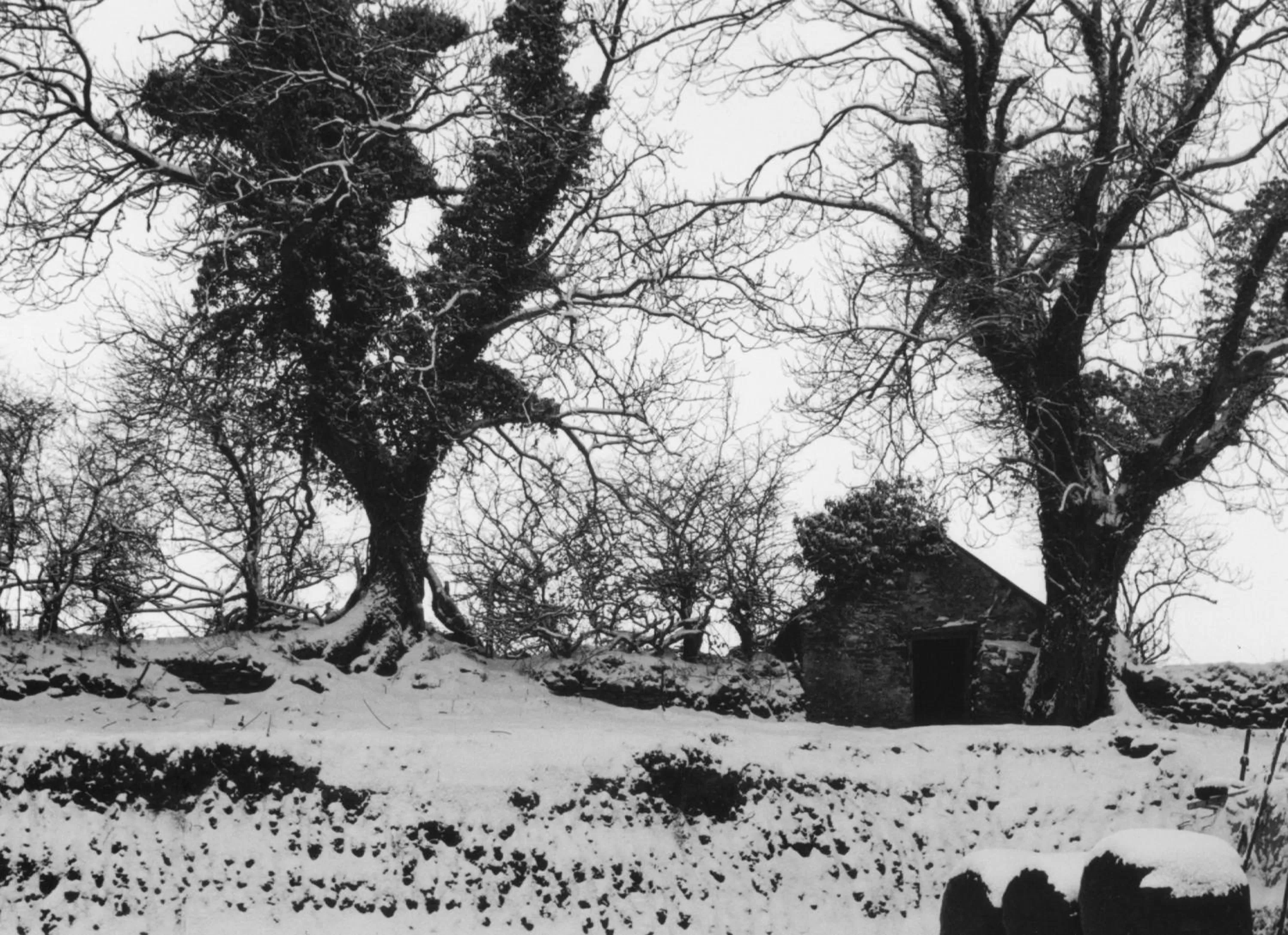 Natural landscape in Bryncoch