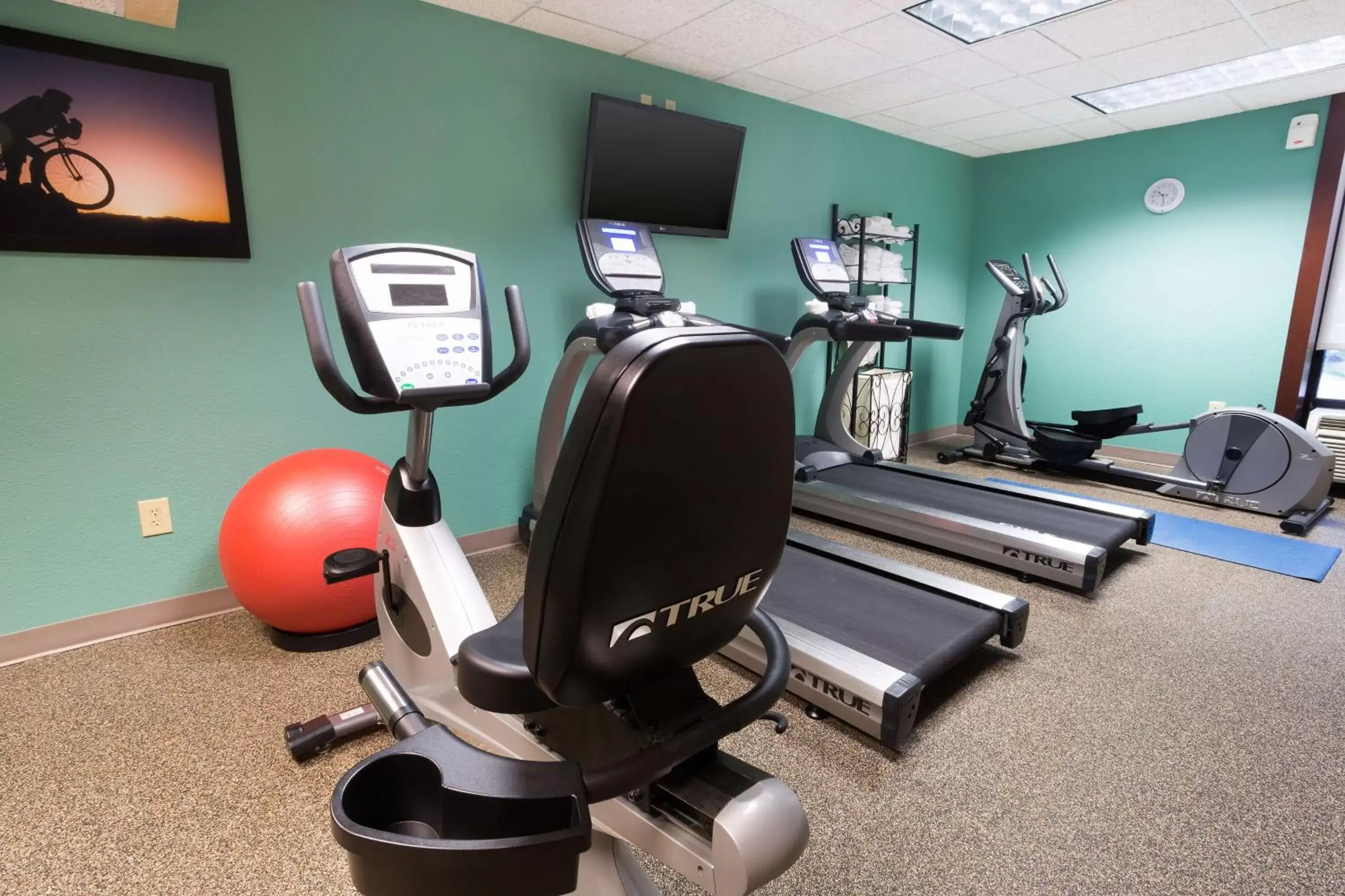 Activities, Fitness Center/Facilities in Drury Inn & Suites Houston Galleria