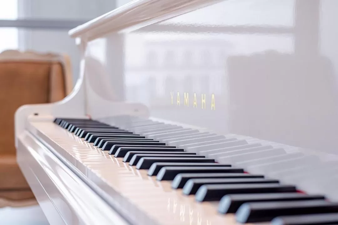 Entertainment in La Recova Hotel & Spa