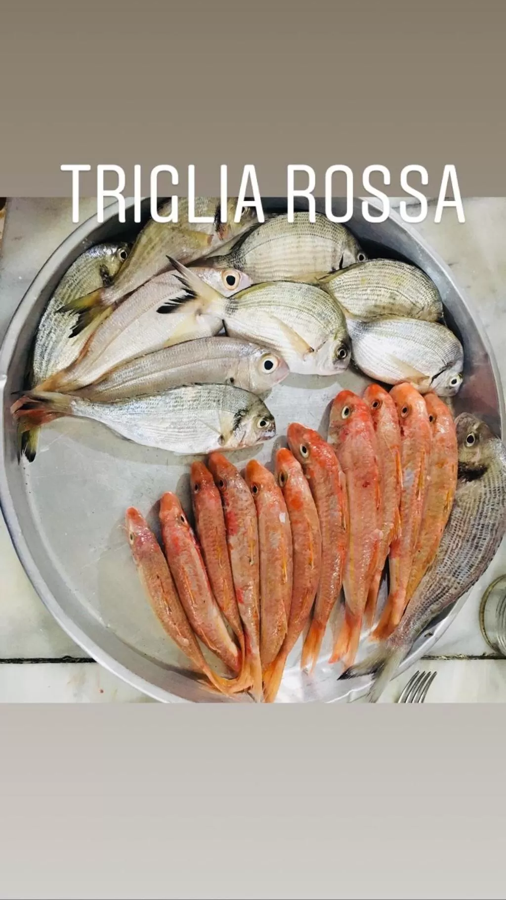 Food close-up, Food in Vila Rahmi & Veli Dervishaj