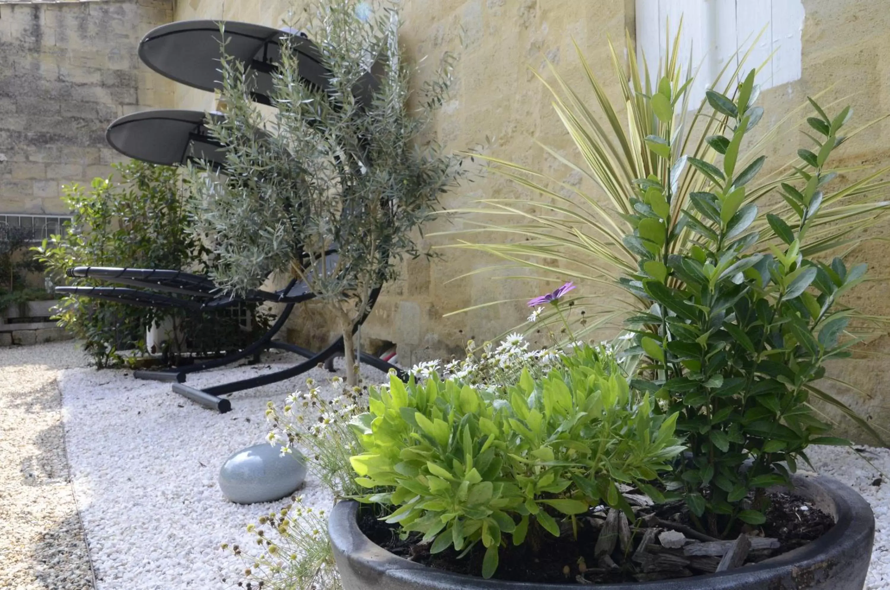 Garden in Pavillon des Millésimes