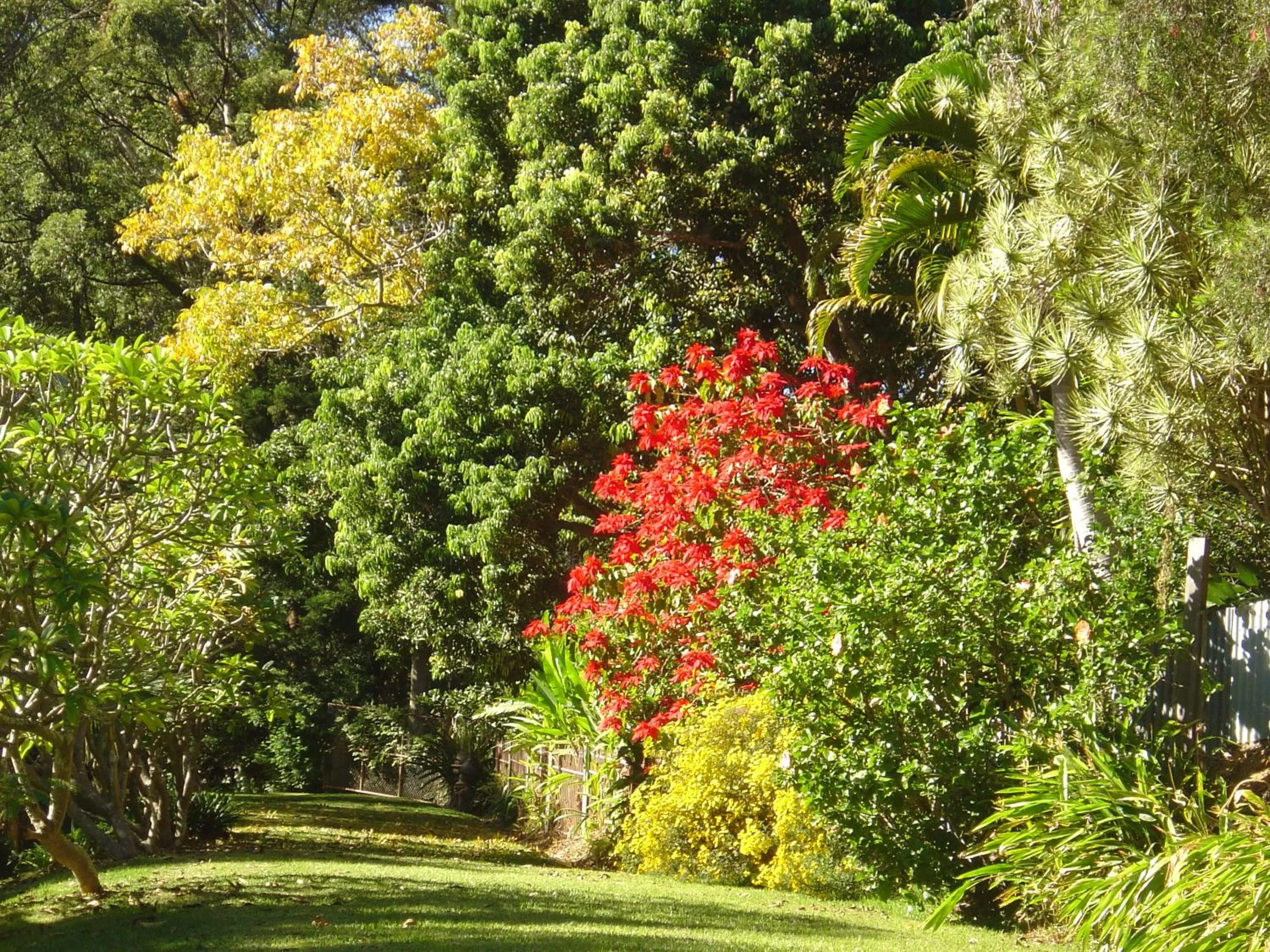 Garden view in Sensom at Sapphire - Adults only B&B