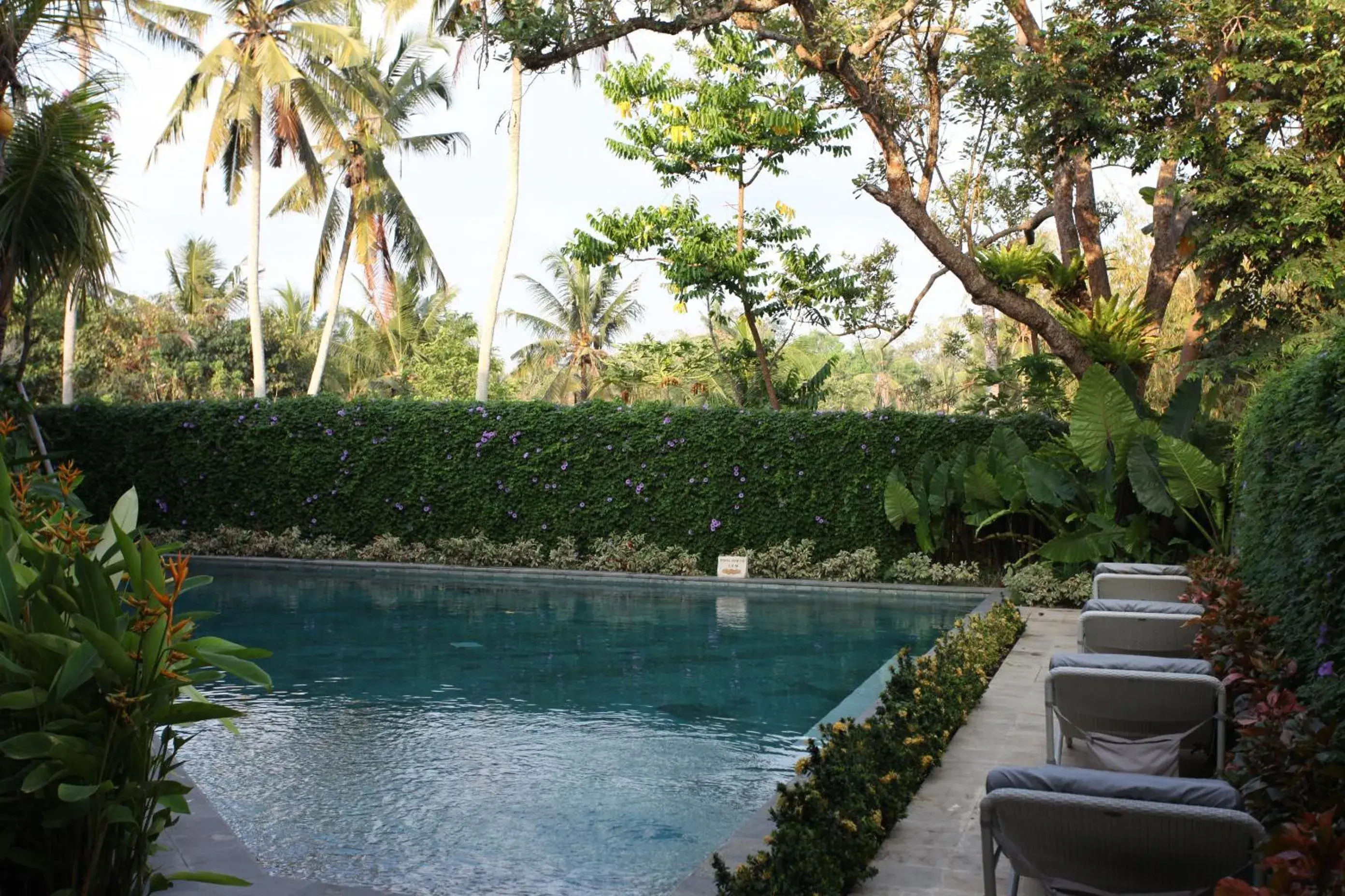 Swimming Pool in Ubud Wana Resort
