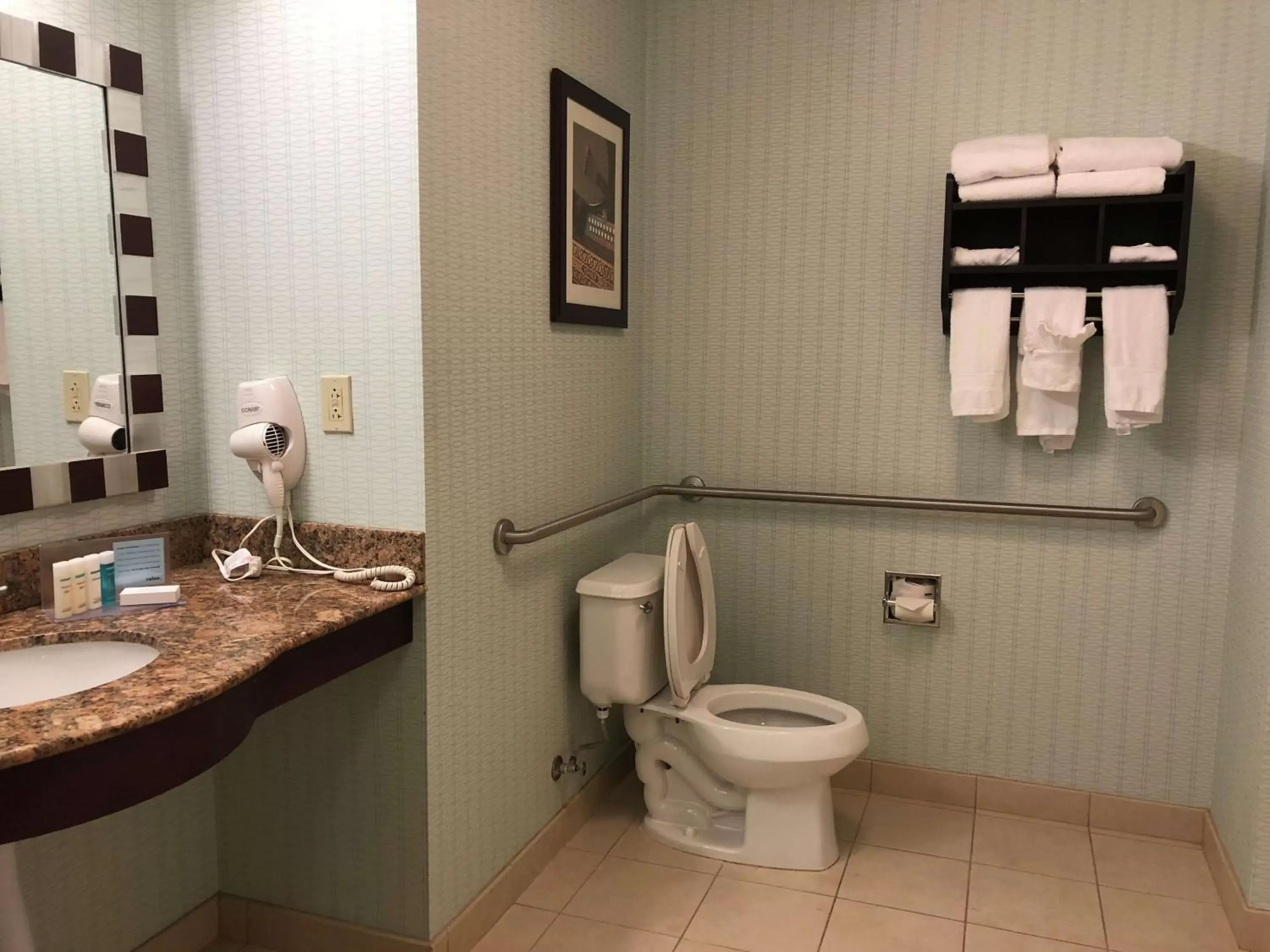 Bathroom in Hampton Inn & Suites Nashville at Opryland