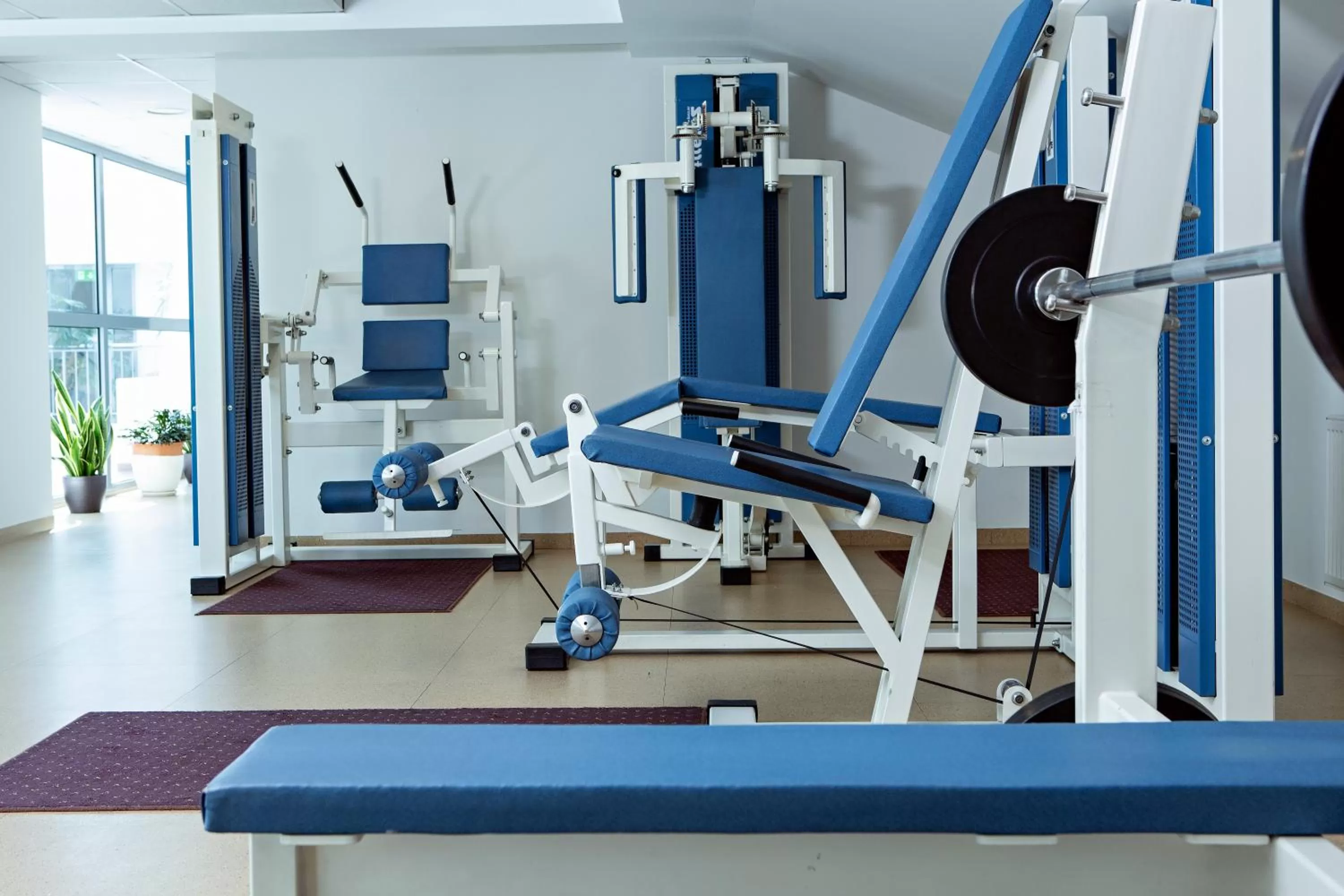 Fitness centre/facilities in Art City Inn