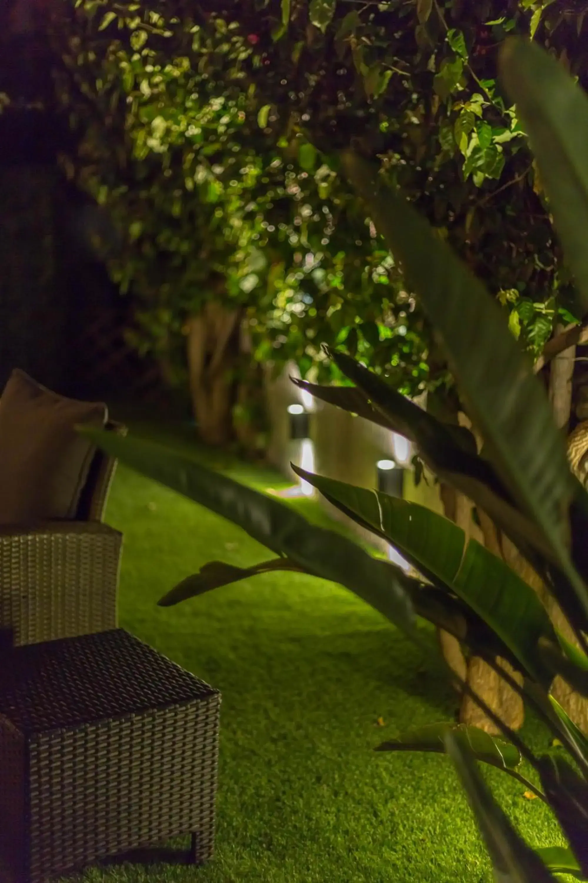 Night, Garden in Hotel Domomea