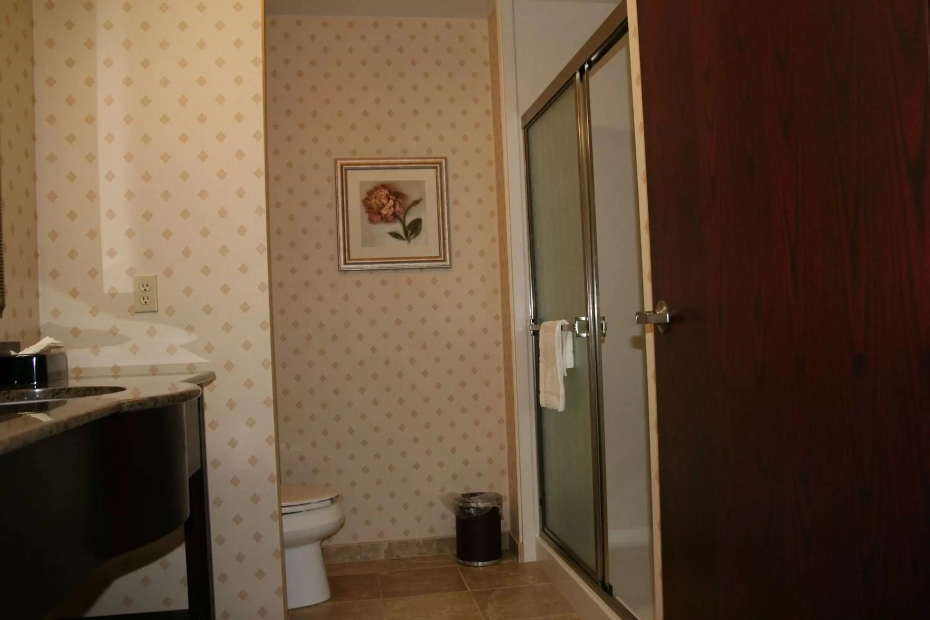 Bathroom in Hampton Inn & Suites Cleveland-Mentor