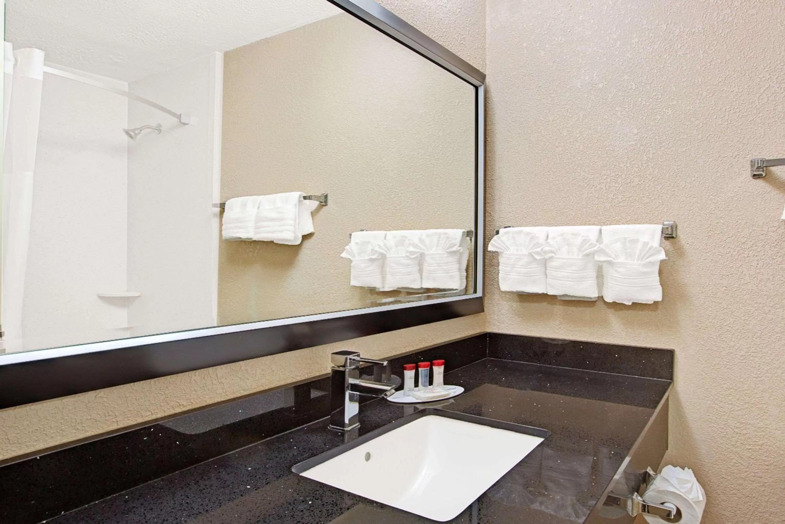 Bathroom in Ramada Plaza by Wyndham Charlotte South End Airport