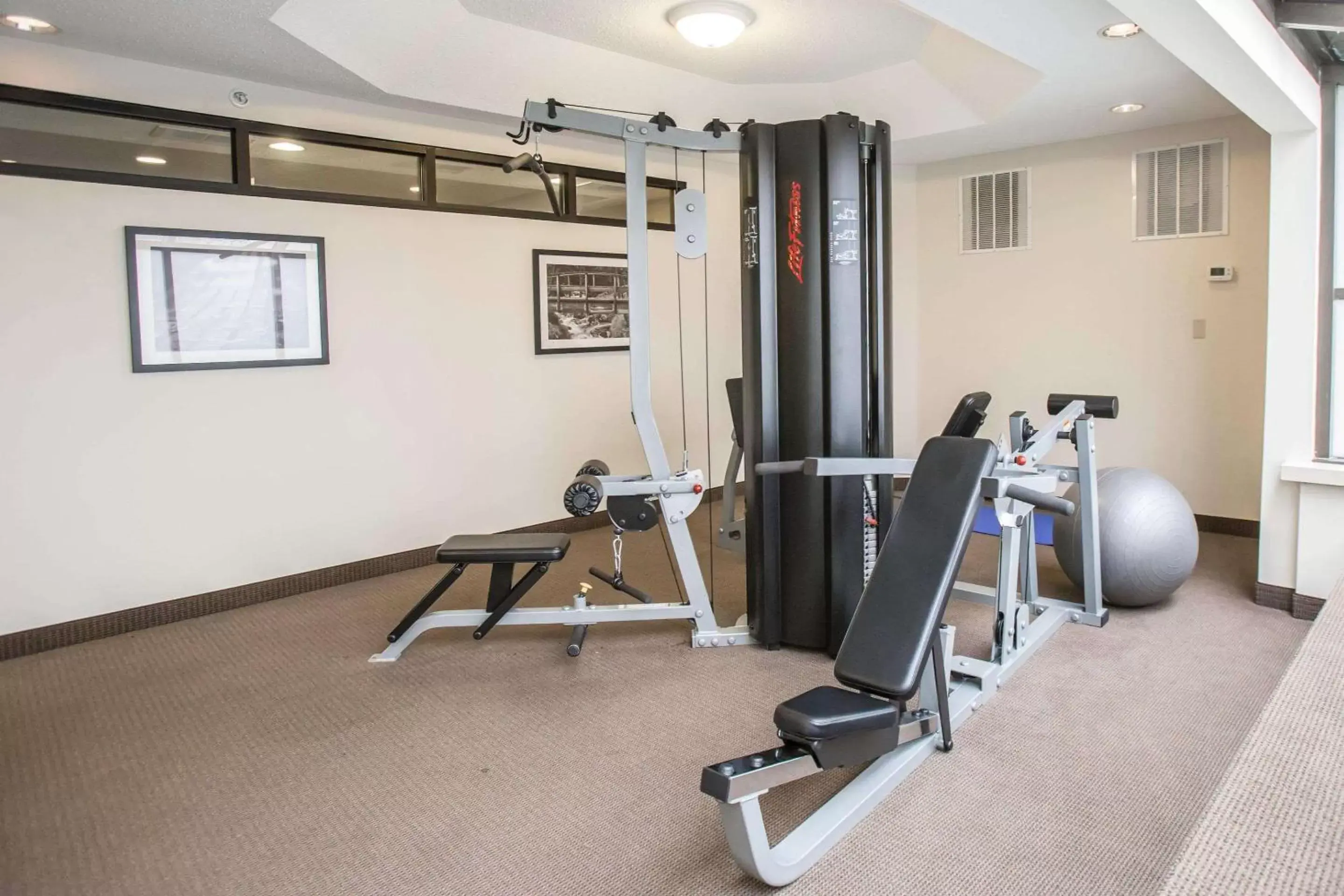 Fitness centre/facilities, Fitness Center/Facilities in Sleep Inn Midway Airport Bedford Park