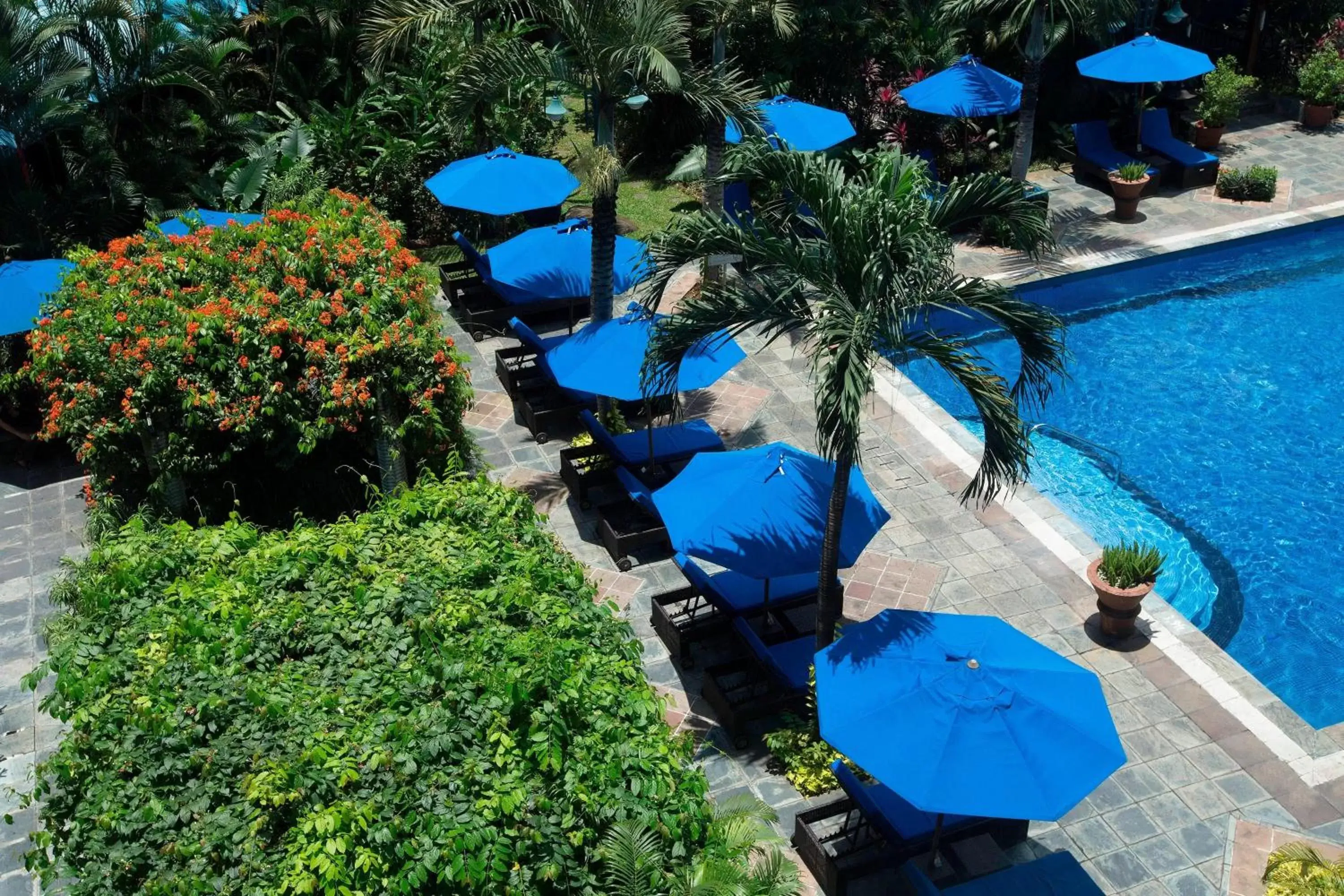 Swimming pool, Pool View in Le Meridien Jakarta