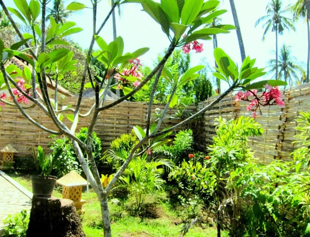 Garden in Oceans 5 Dive Resort