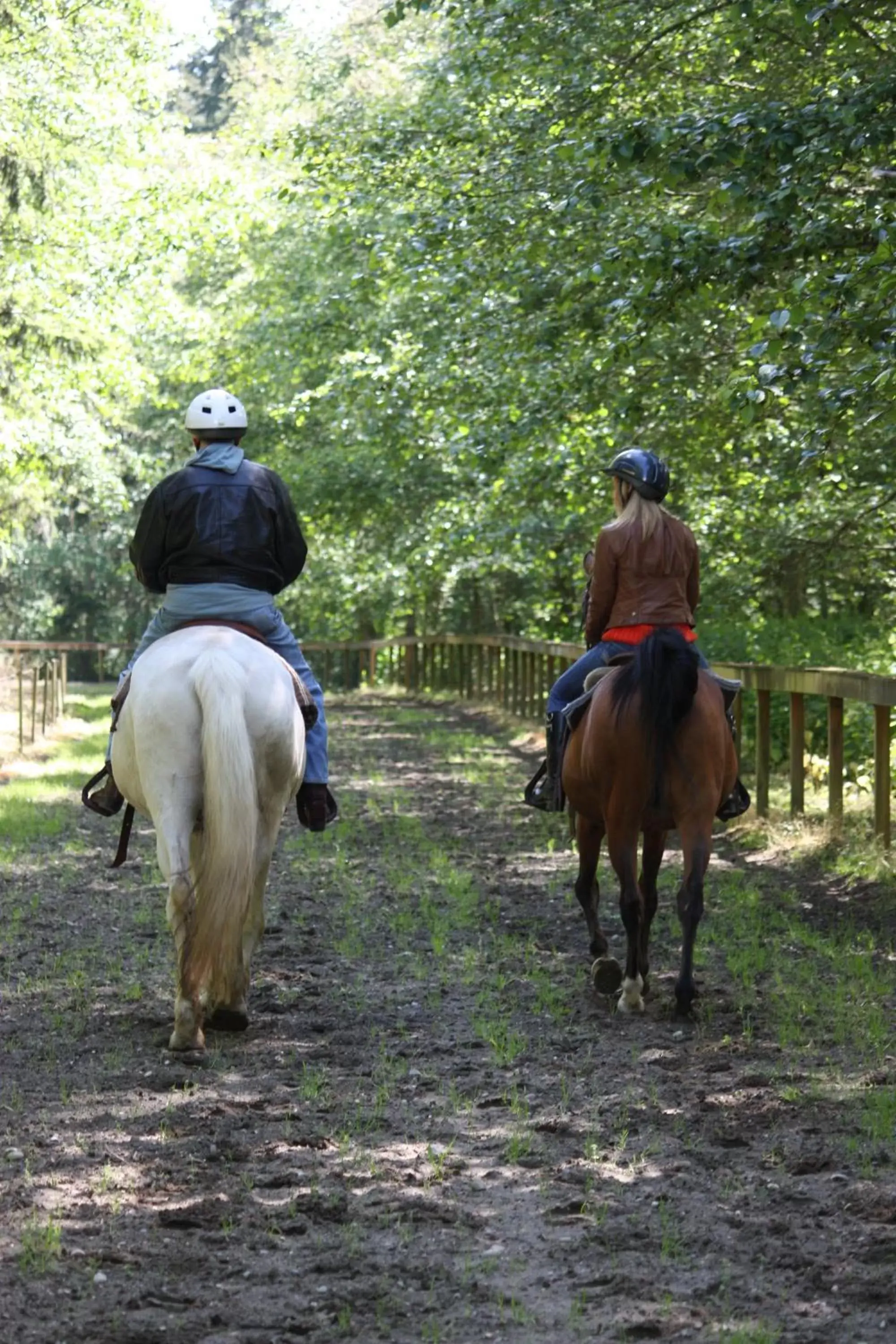 Horse-riding, Horseback Riding in Wildwood Farm Bed & Breakfast