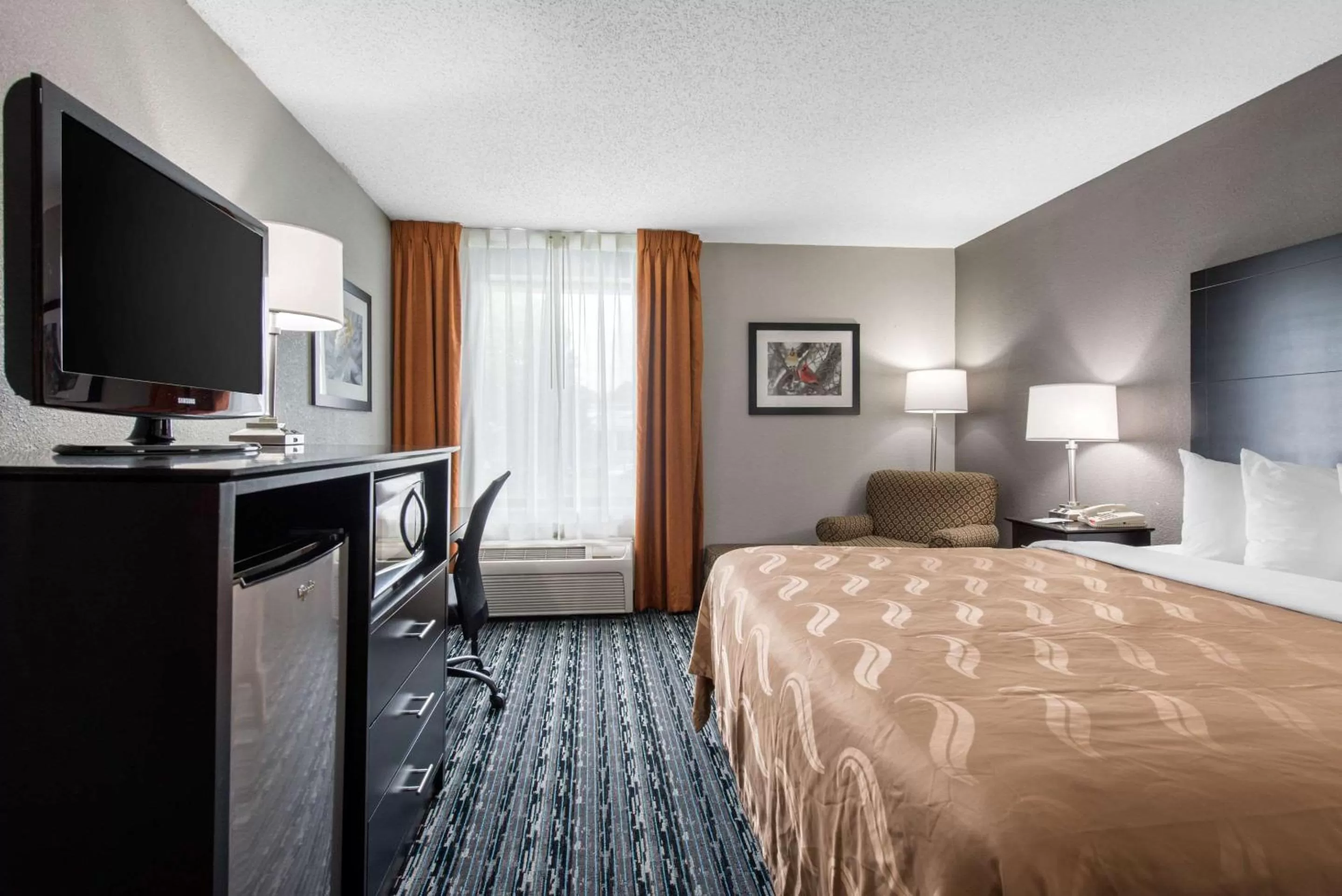 Photo of the whole room, Bed in Quality Inn & Suites Brownsburg - Indianapolis West