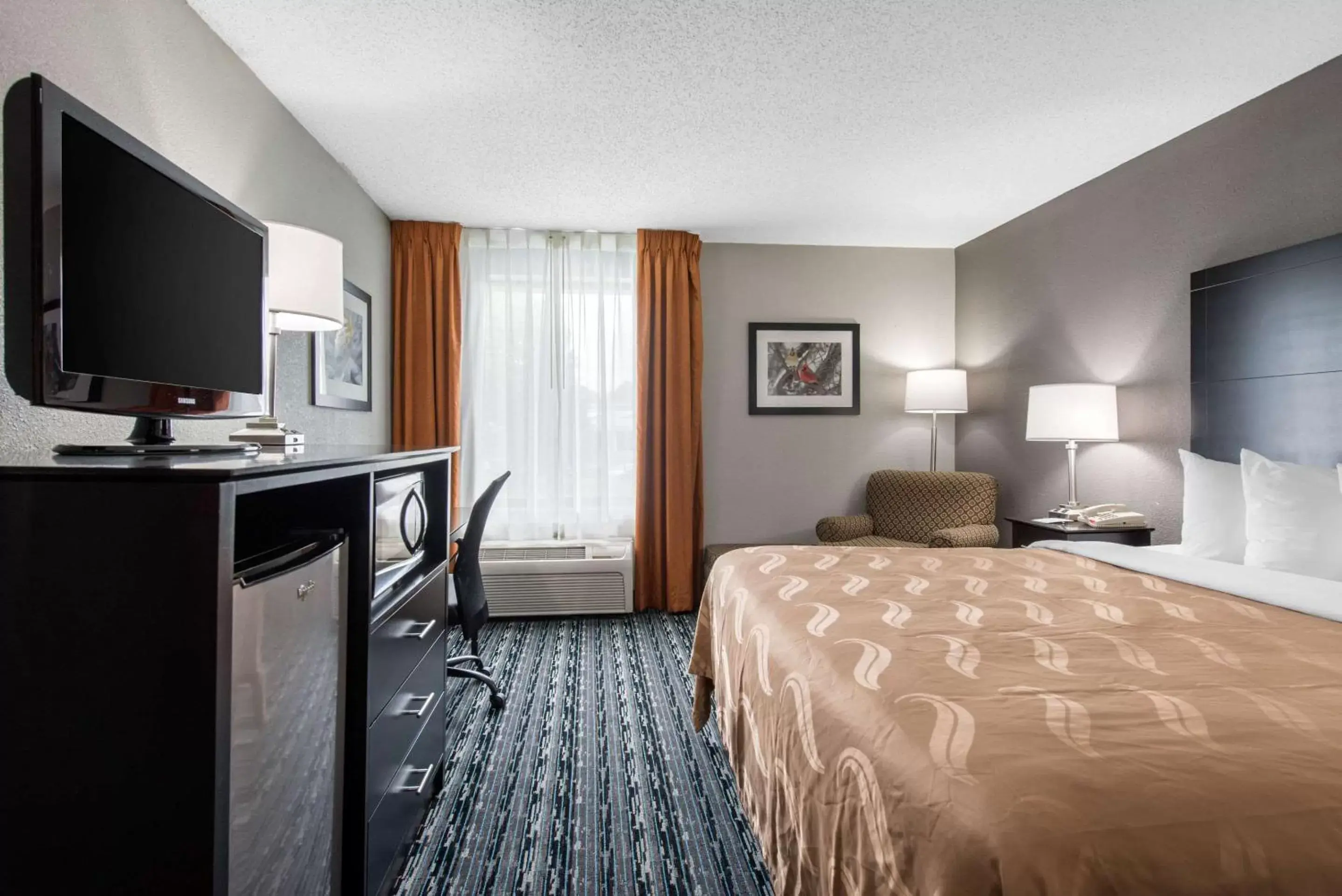 Photo of the whole room, Bed in Quality Inn Indianapolis-Brownsburg - Indianapolis West