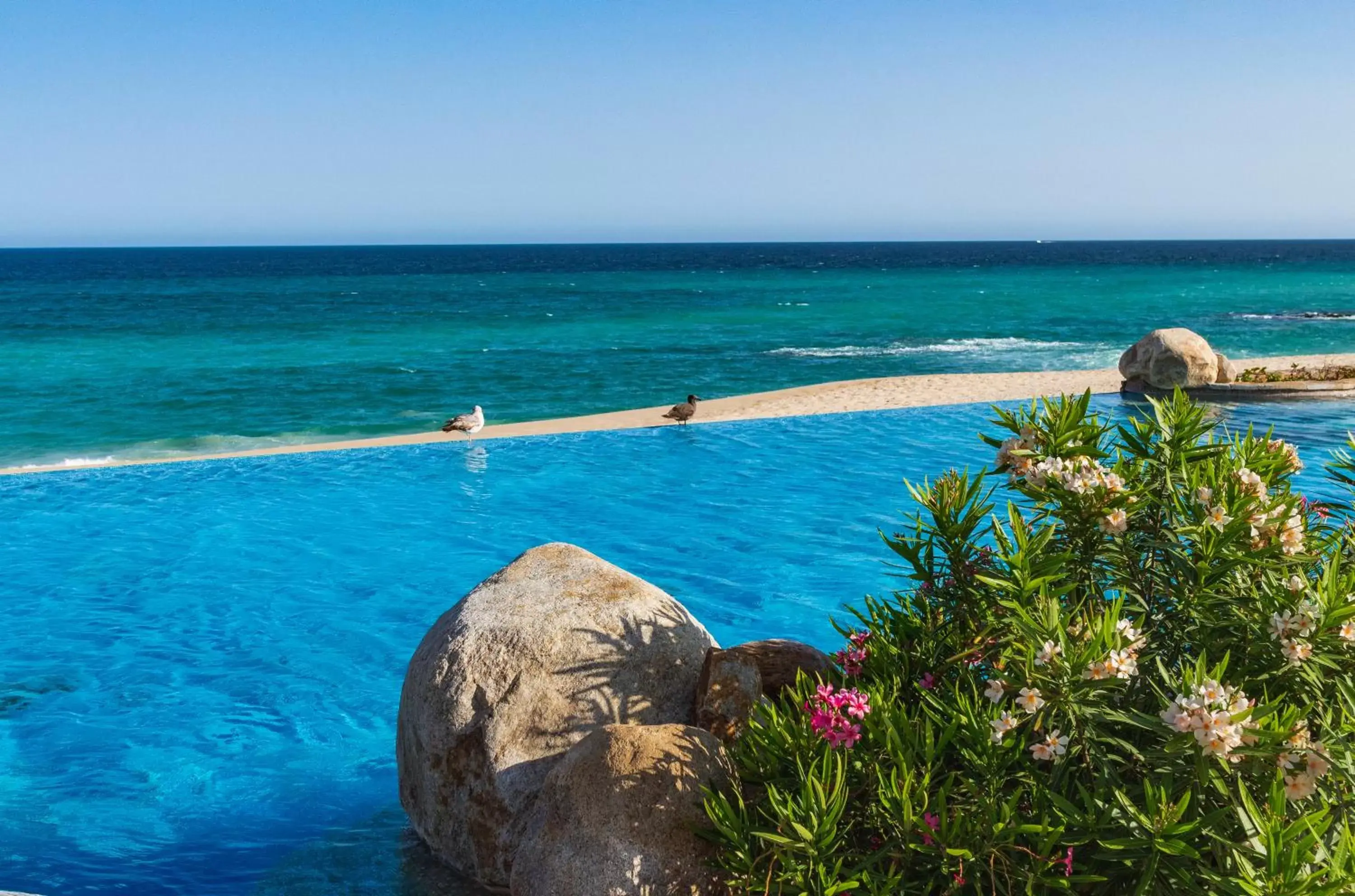 Swimming pool in Villa La Valencia Beach Resort & Spa Los Cabos