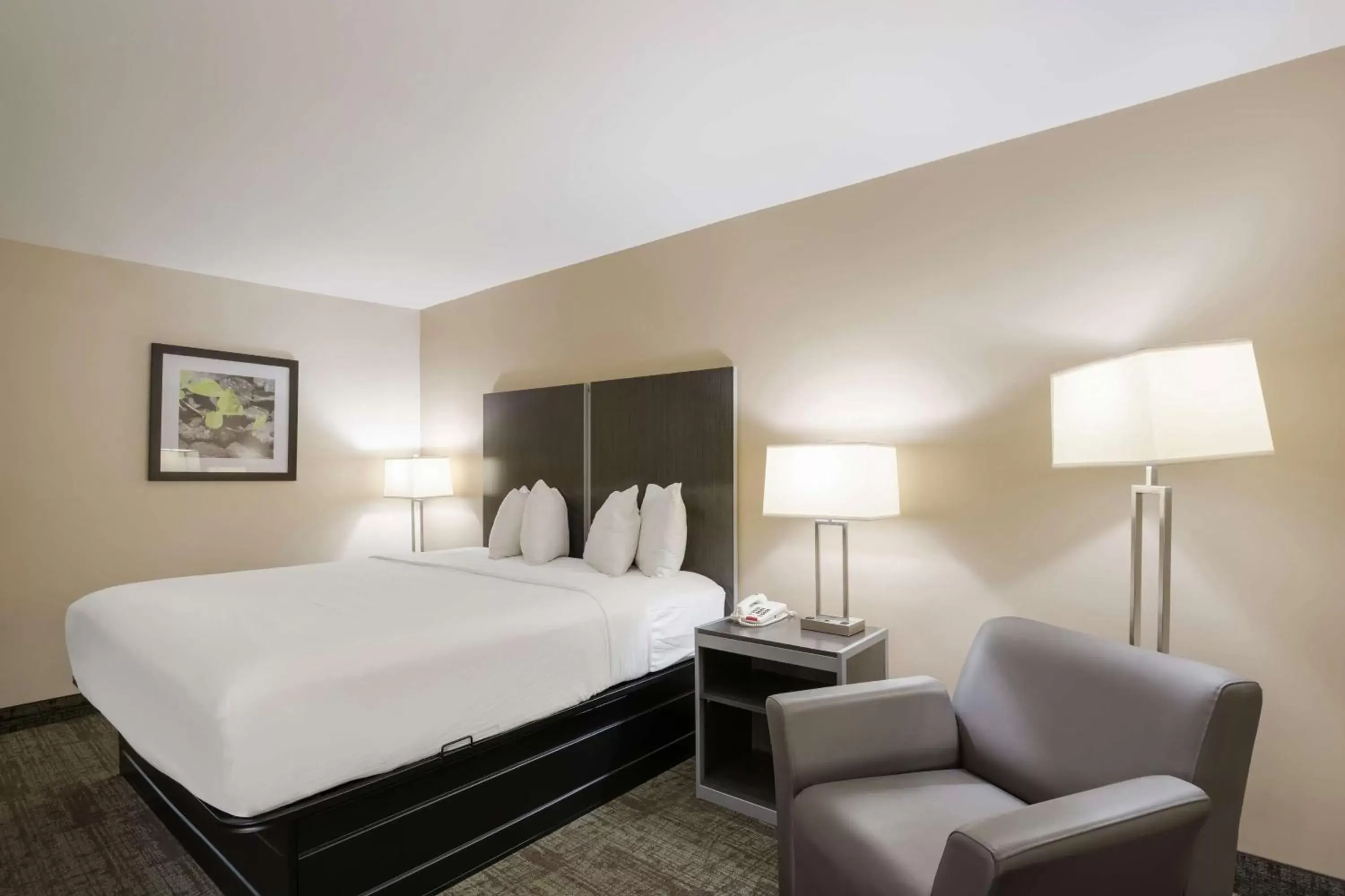 Bedroom, Bed in Best Western Northwest Indiana Inn