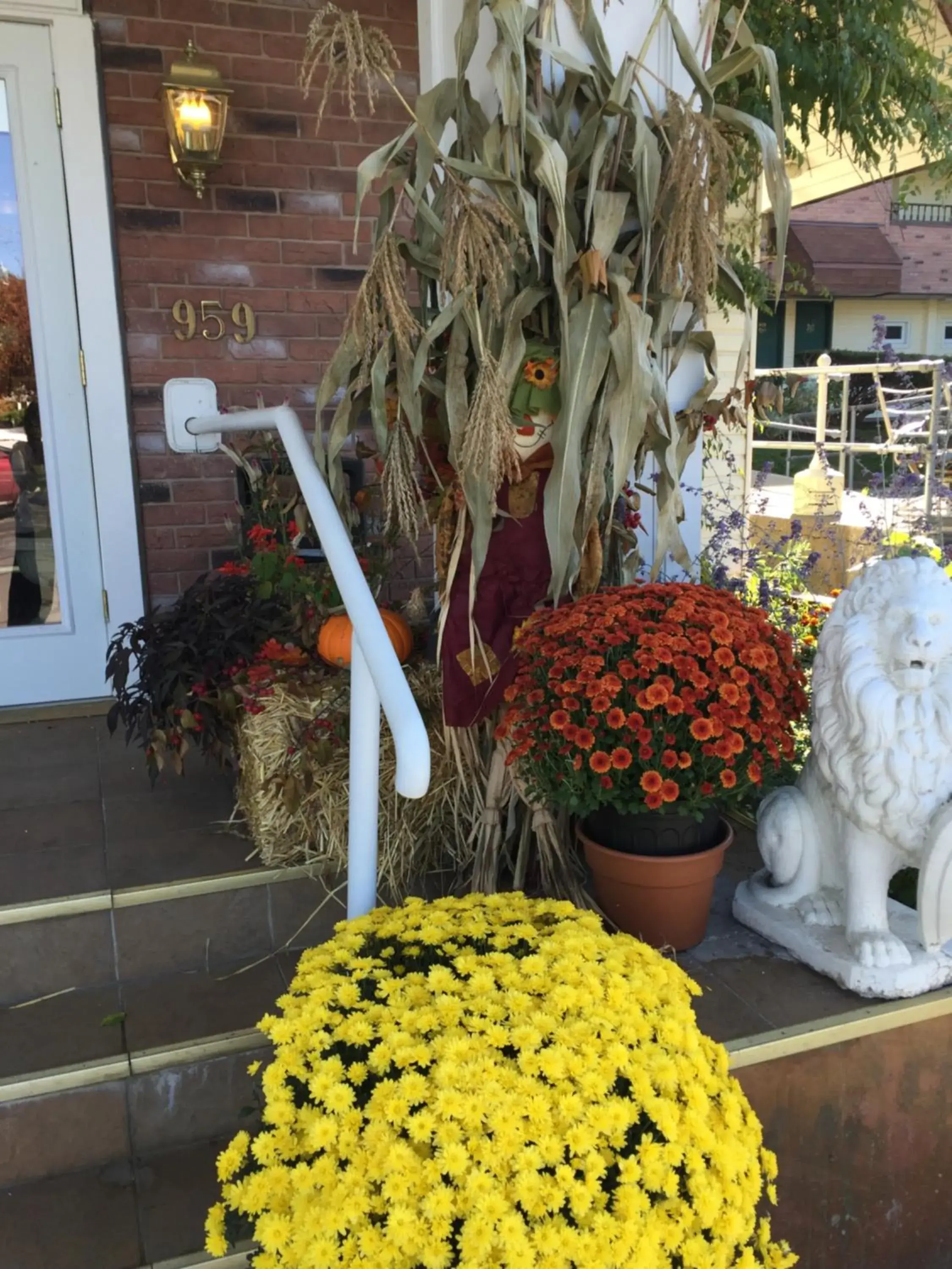 Facade/entrance in The Black Mountain Inn Facade/entrance in The Black Mountain Inn