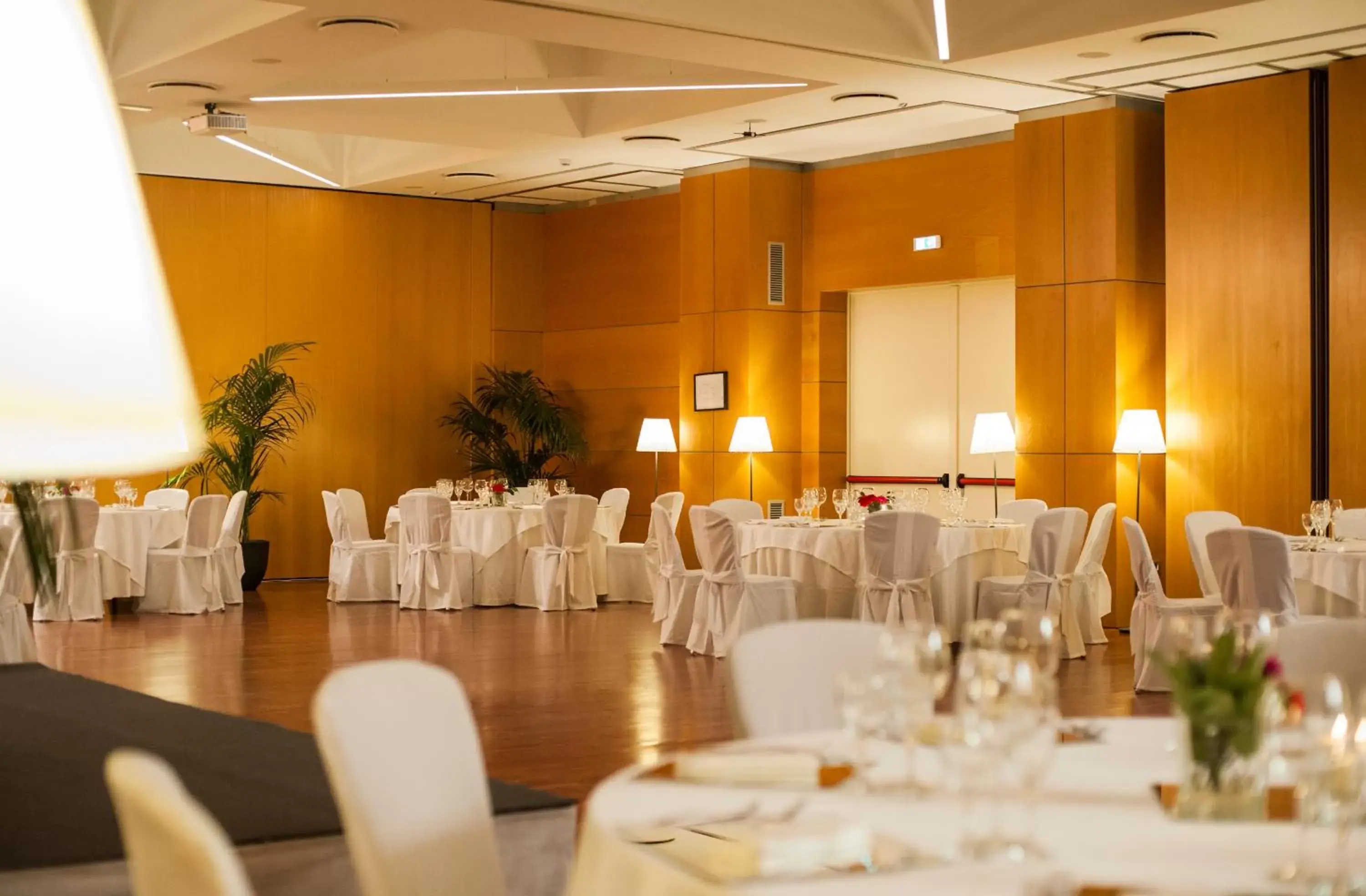 Banquet/Function facilities in Hotel Excelsior Bari
