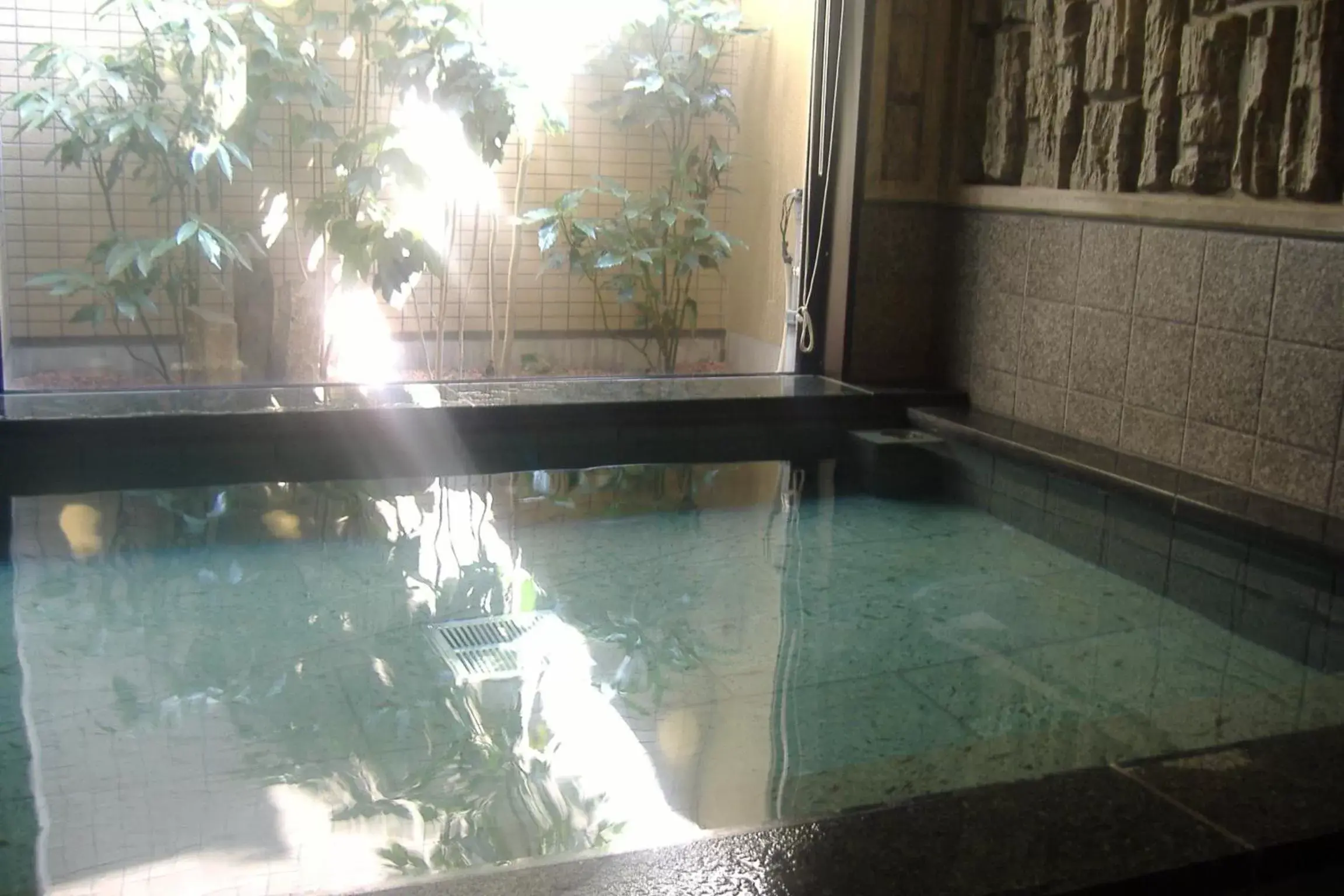 Spa and wellness centre/facilities, Swimming Pool in Hotel Route-Inn Nagaoka Inter