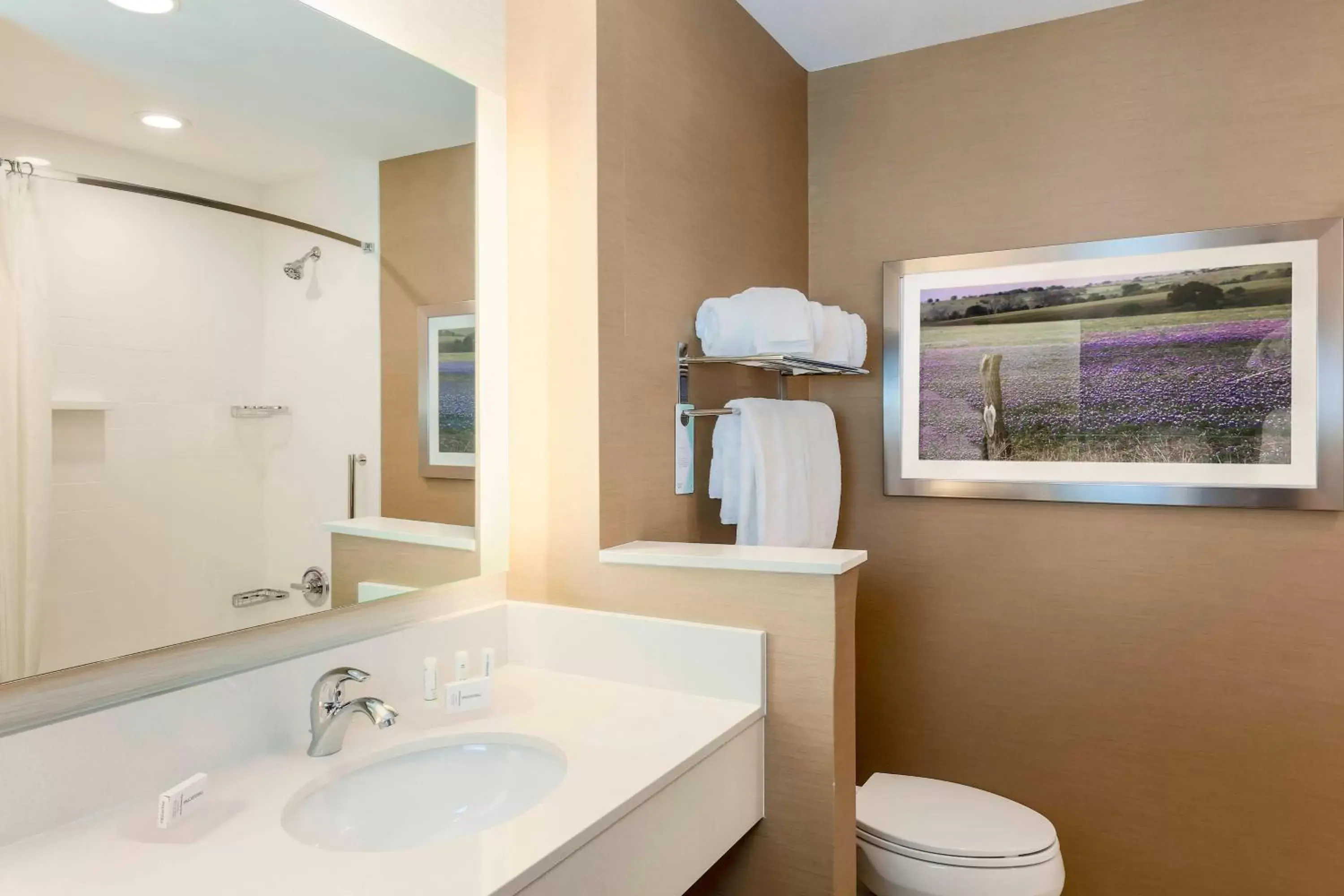 Bathroom in Fairfield Inn & Suites by Marriott Decatur at Decatur Conference Center