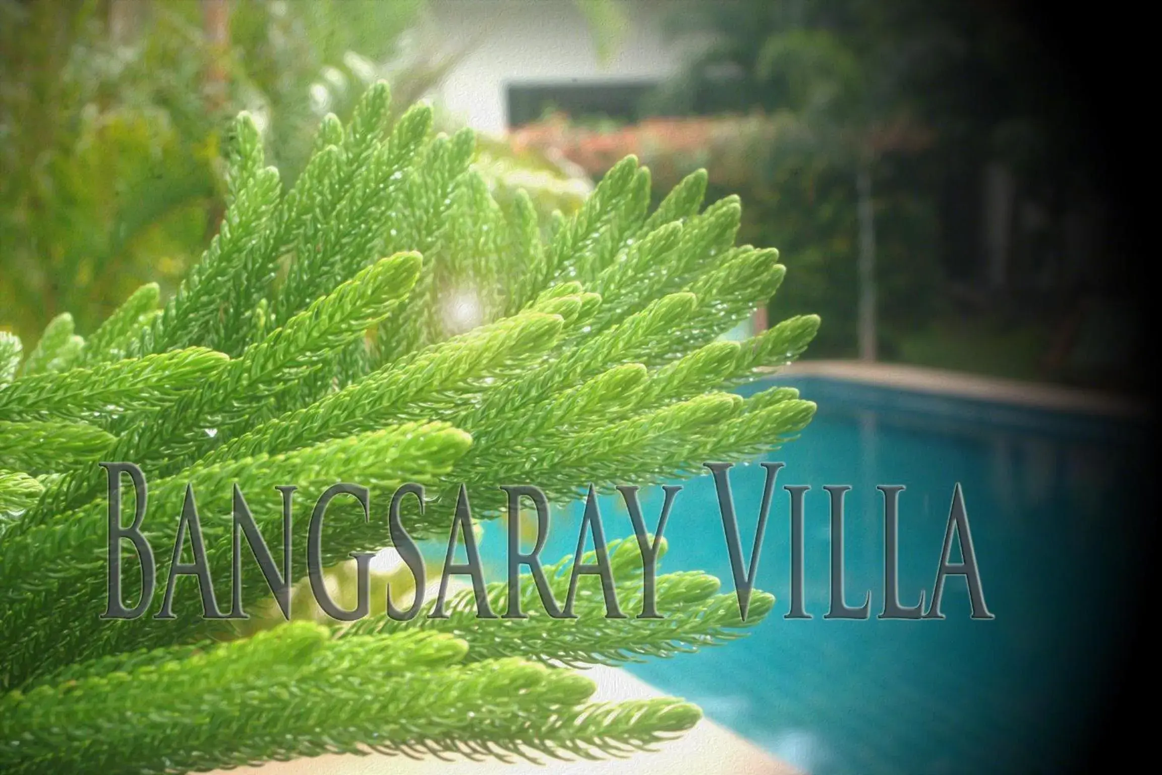 Swimming pool in Bangsaray Villa