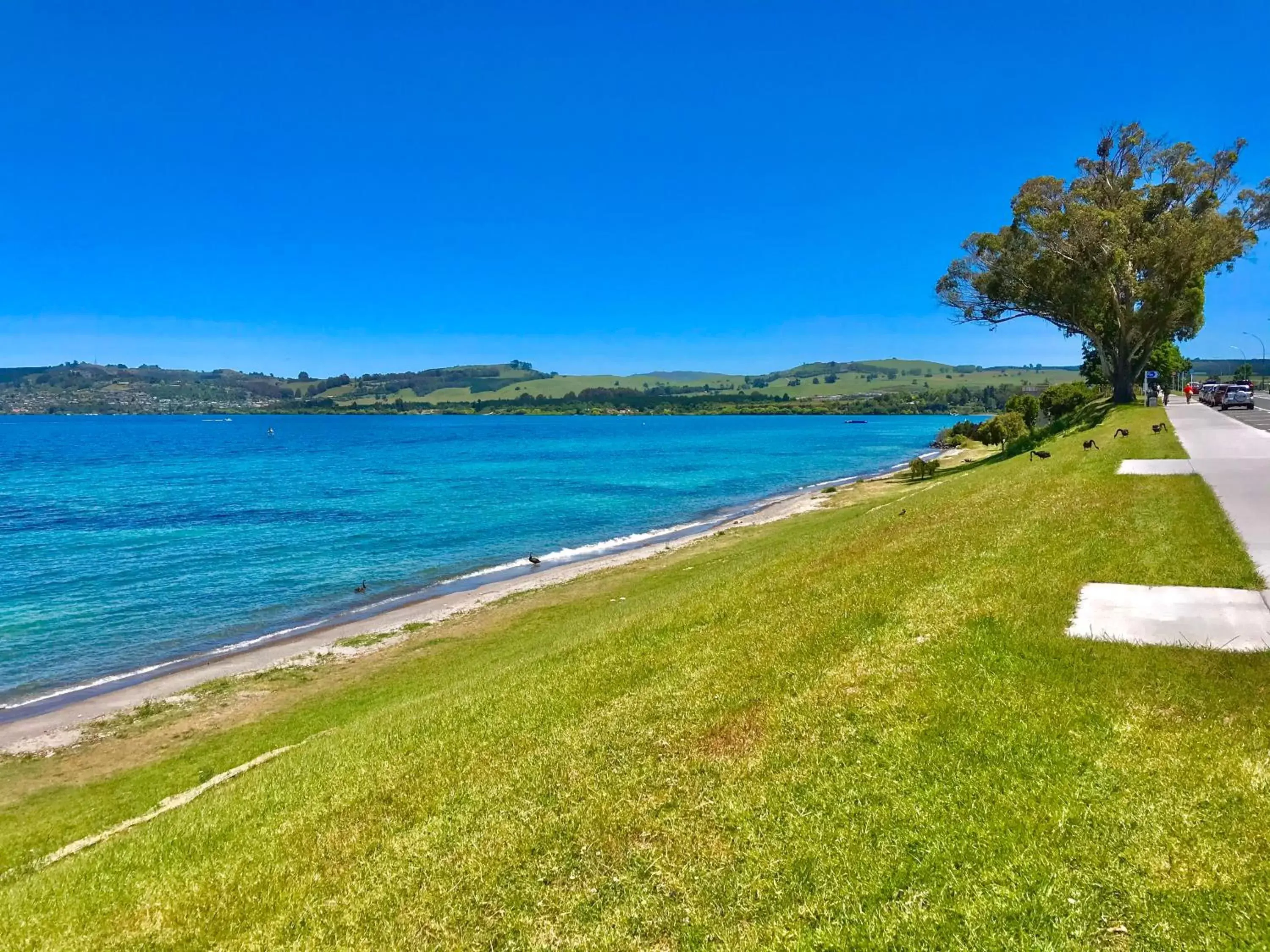 Beach in Tui Oaks Motel