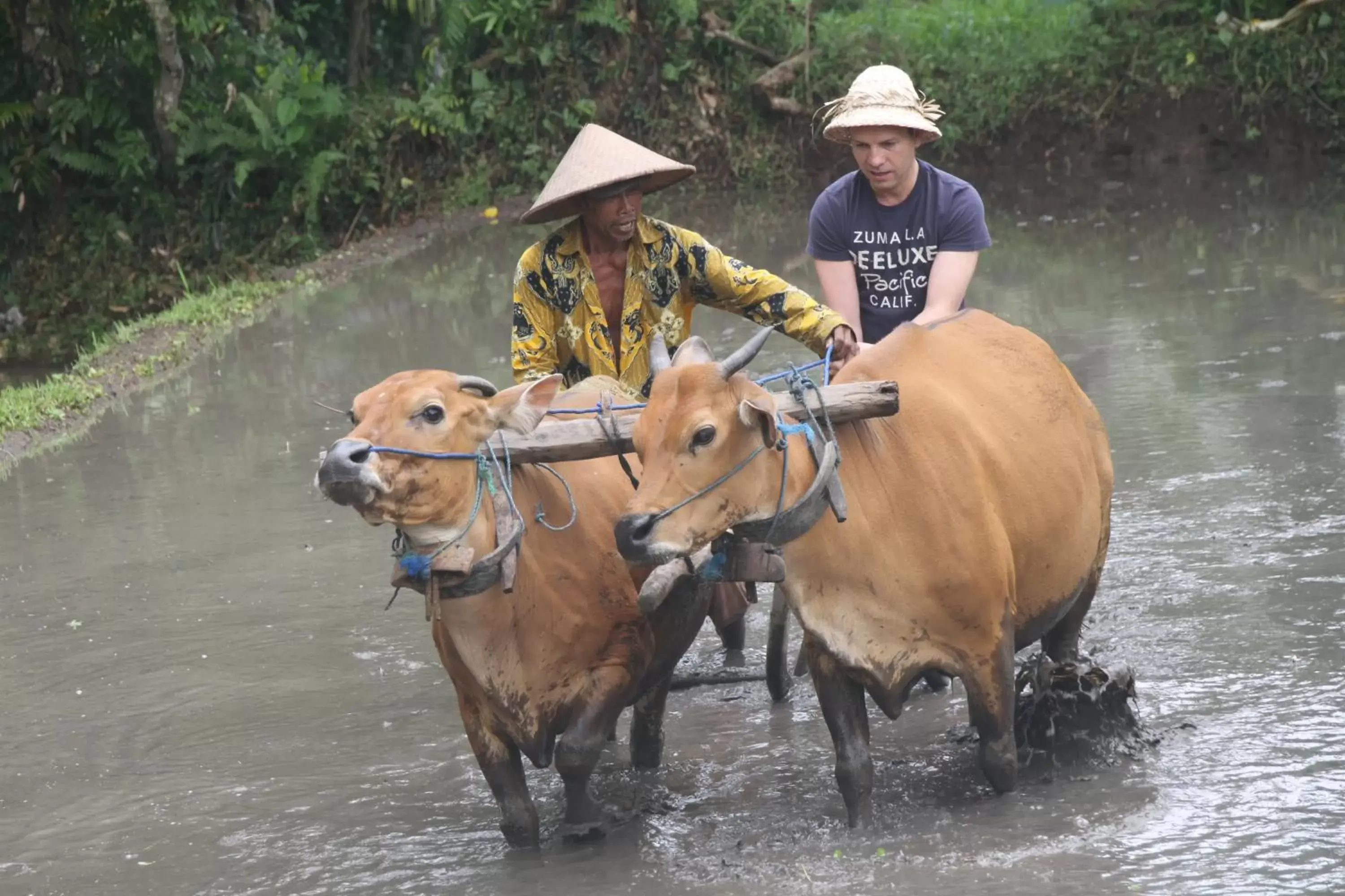 Activities, Horseback Riding in Puri Taman Sari