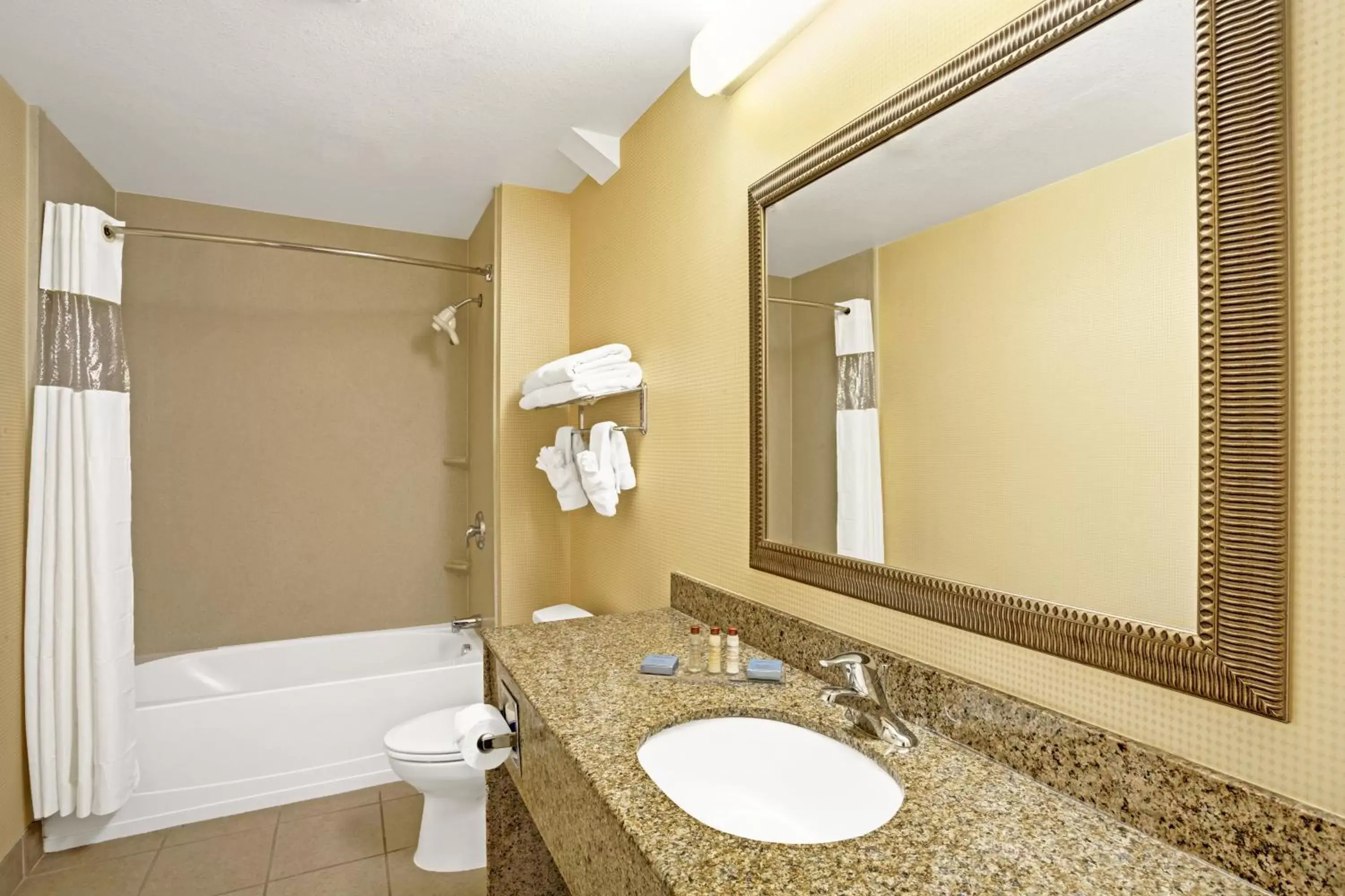 Other, Bathroom in Wingate by Wyndham Atlanta Fairburn