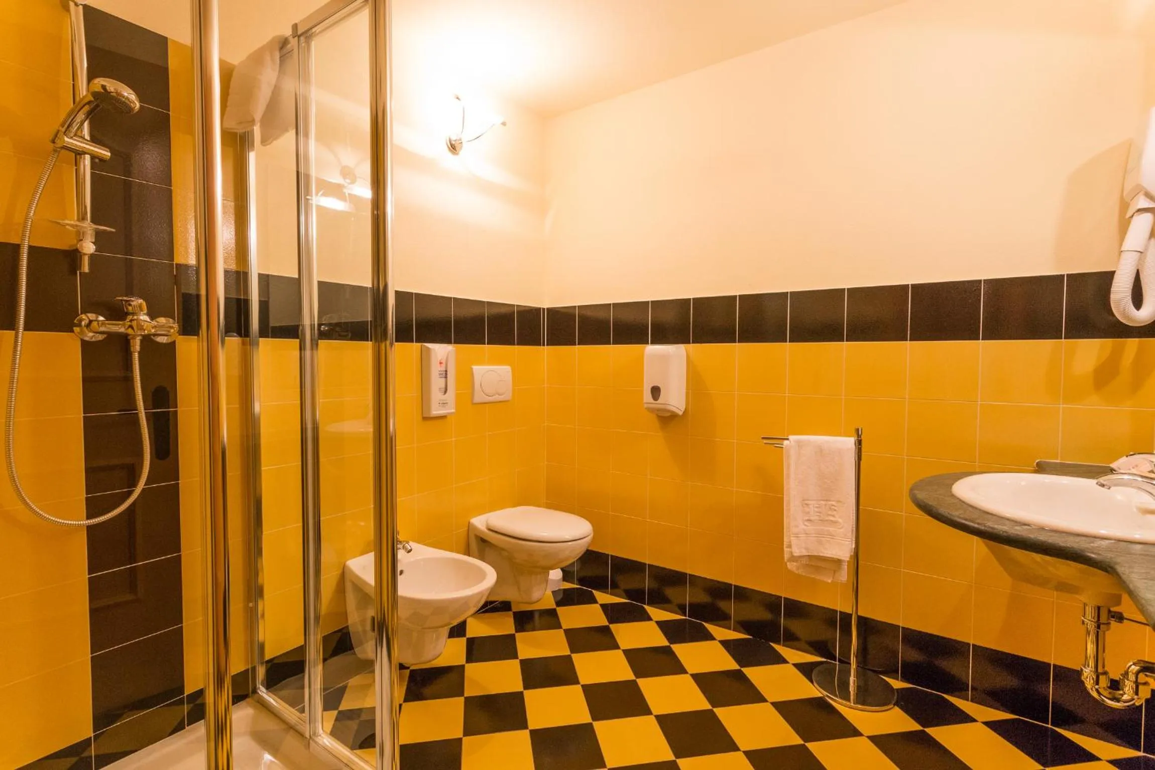 Shower in Hotel Arisch