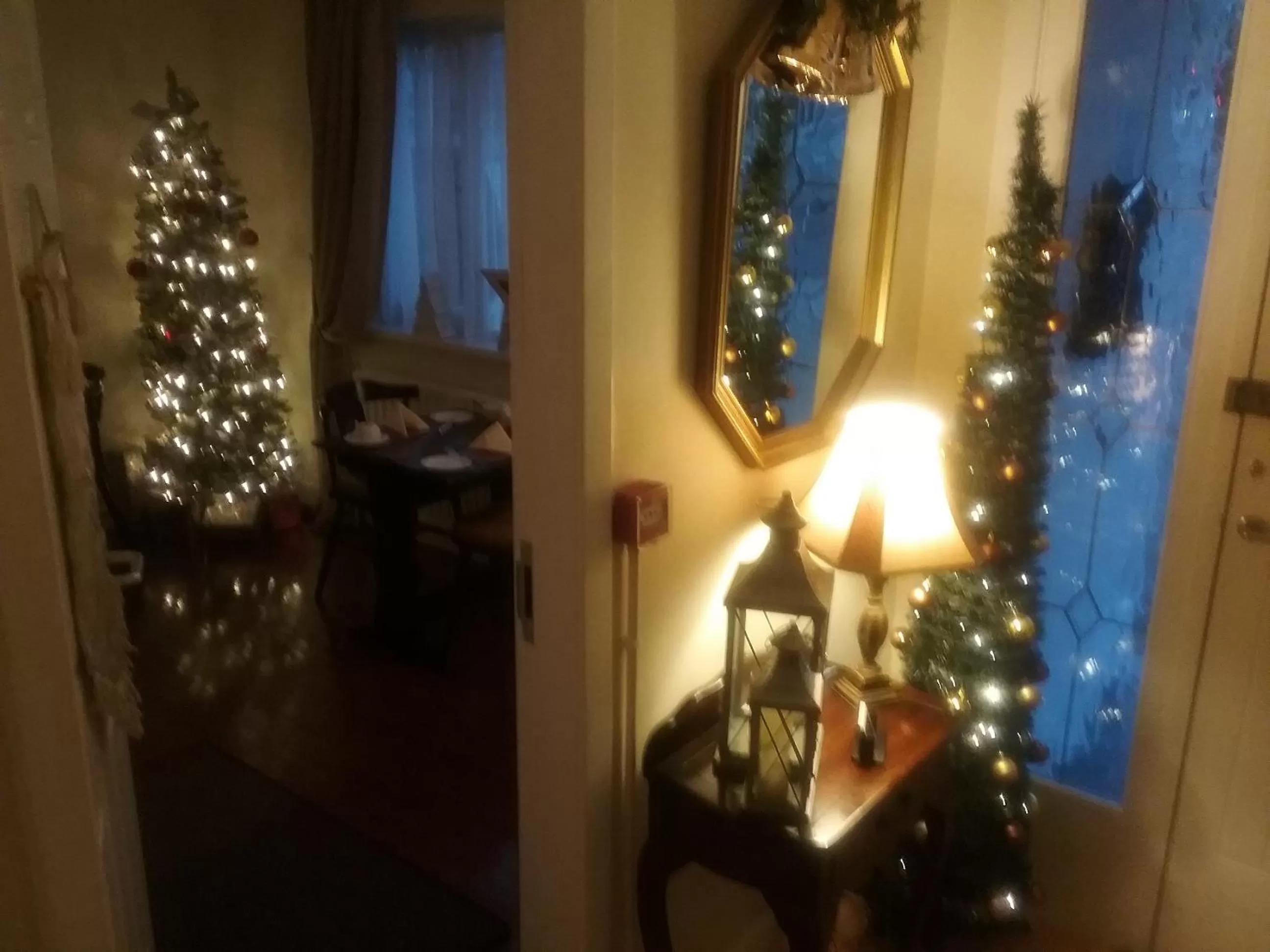 Lobby or reception in The Meadows Bed and Breakfast