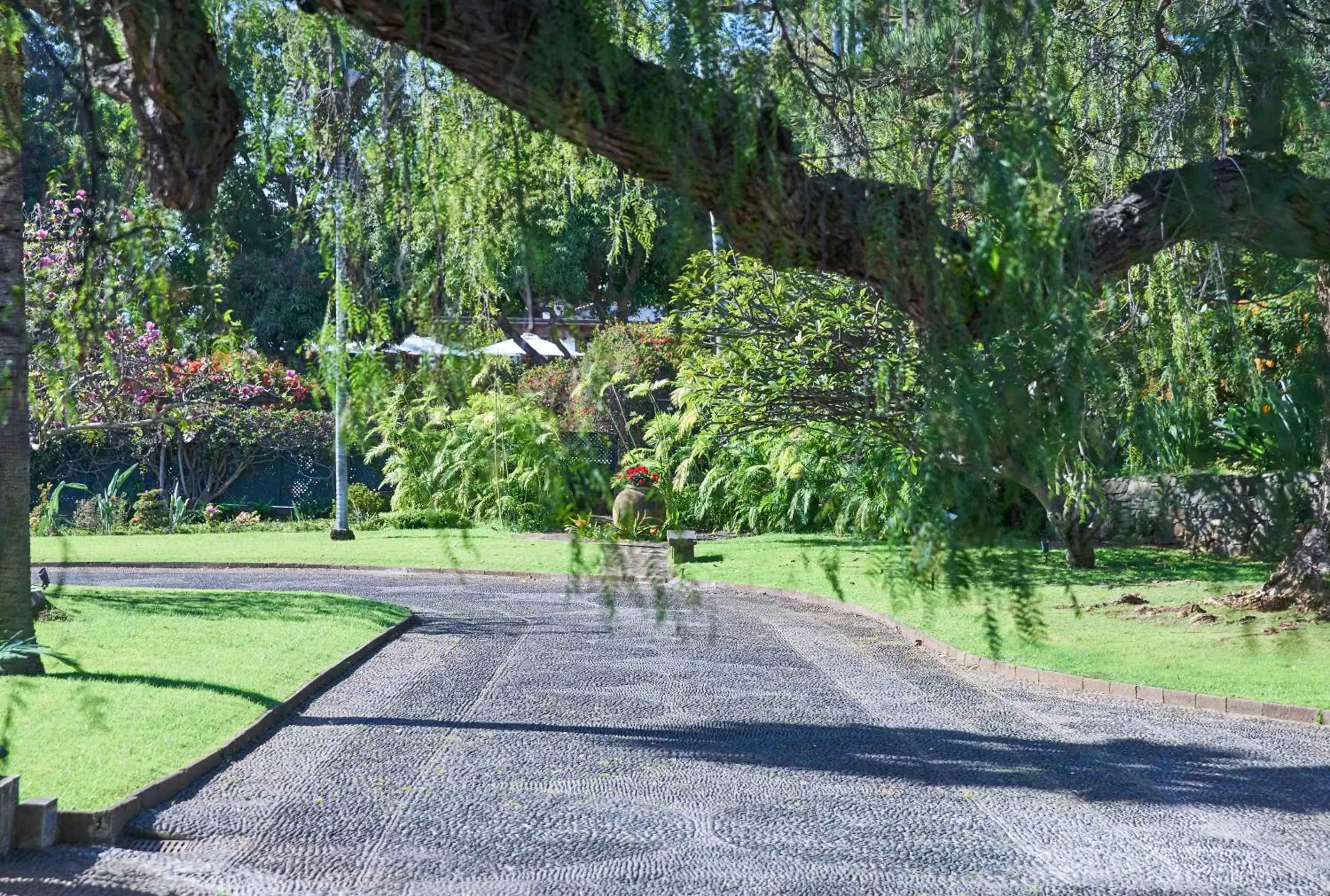 Garden in Quinta da Casa Branca