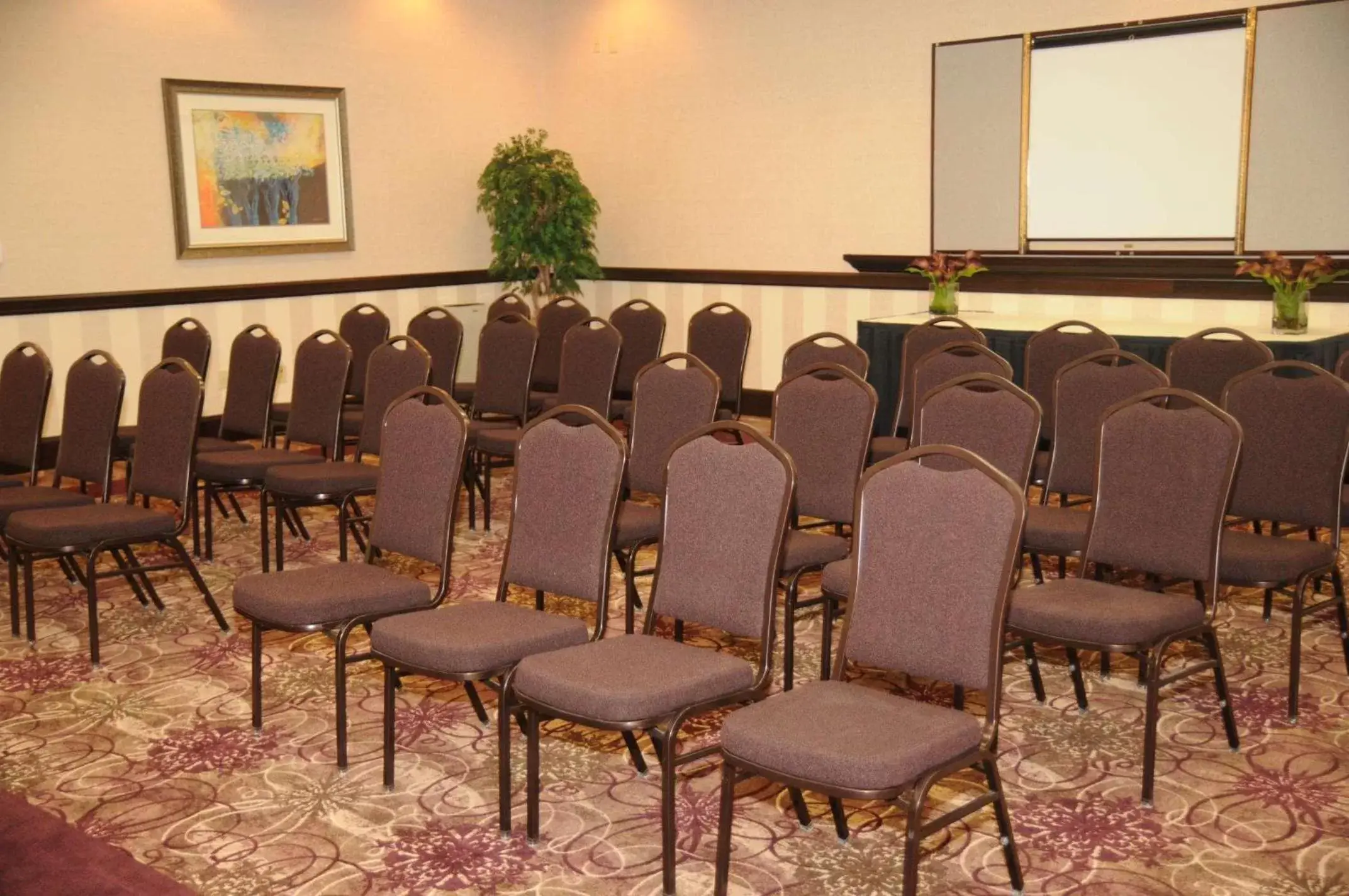 Meeting/conference room in Hilton Garden Inn New Braunfels