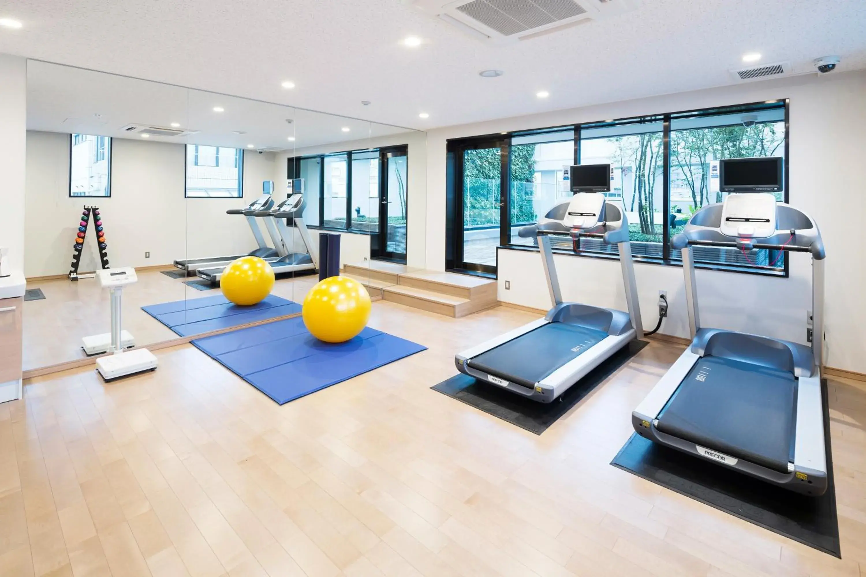 Fitness centre/facilities, Fitness Center/Facilities in Hotel Mystays Premier Akasaka