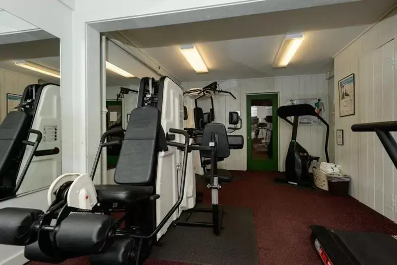 Fitness centre/facilities, Fitness Center/Facilities in Snowy Owl Inn
