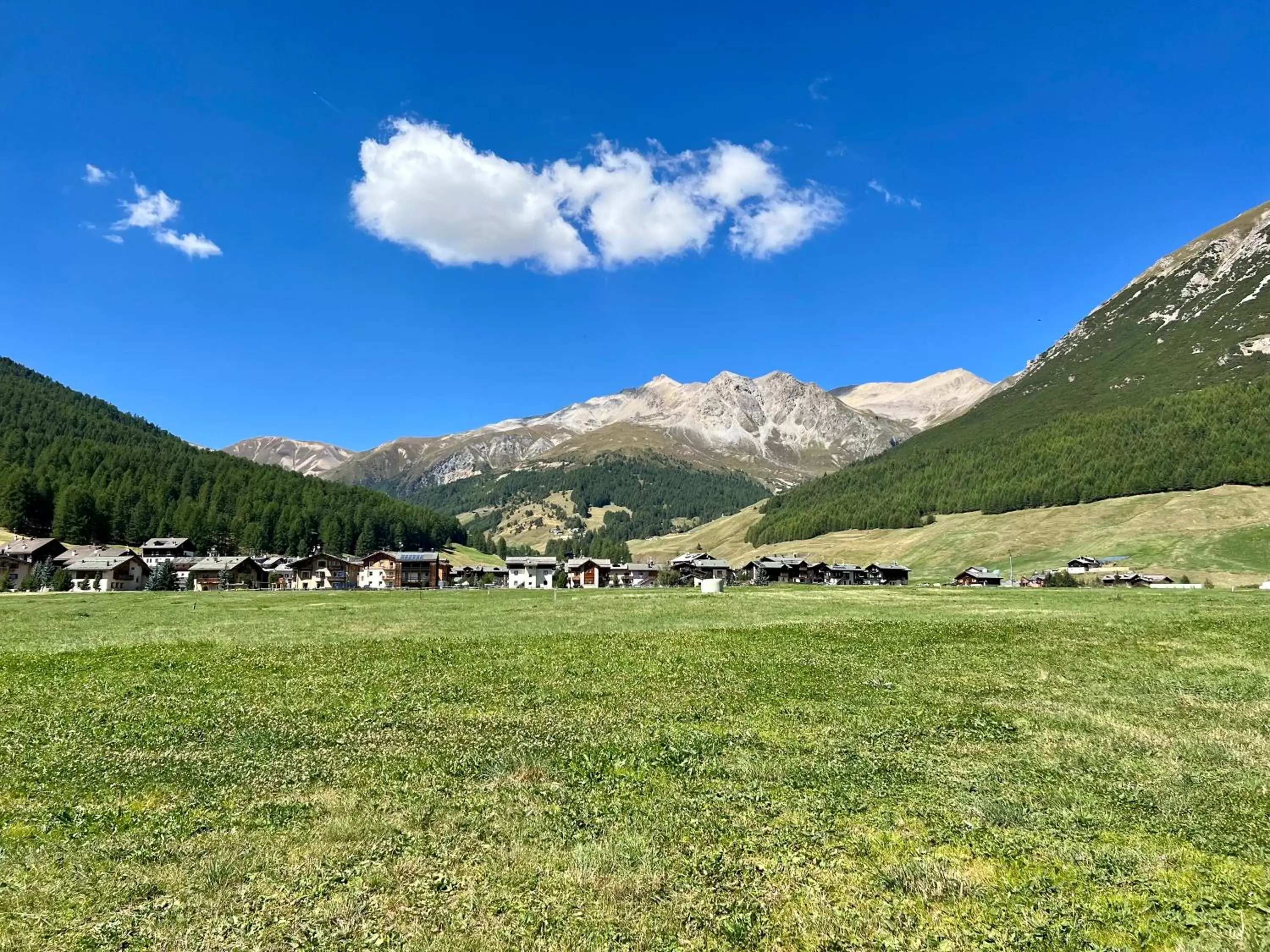 Natural Landscape in Hotel Adele