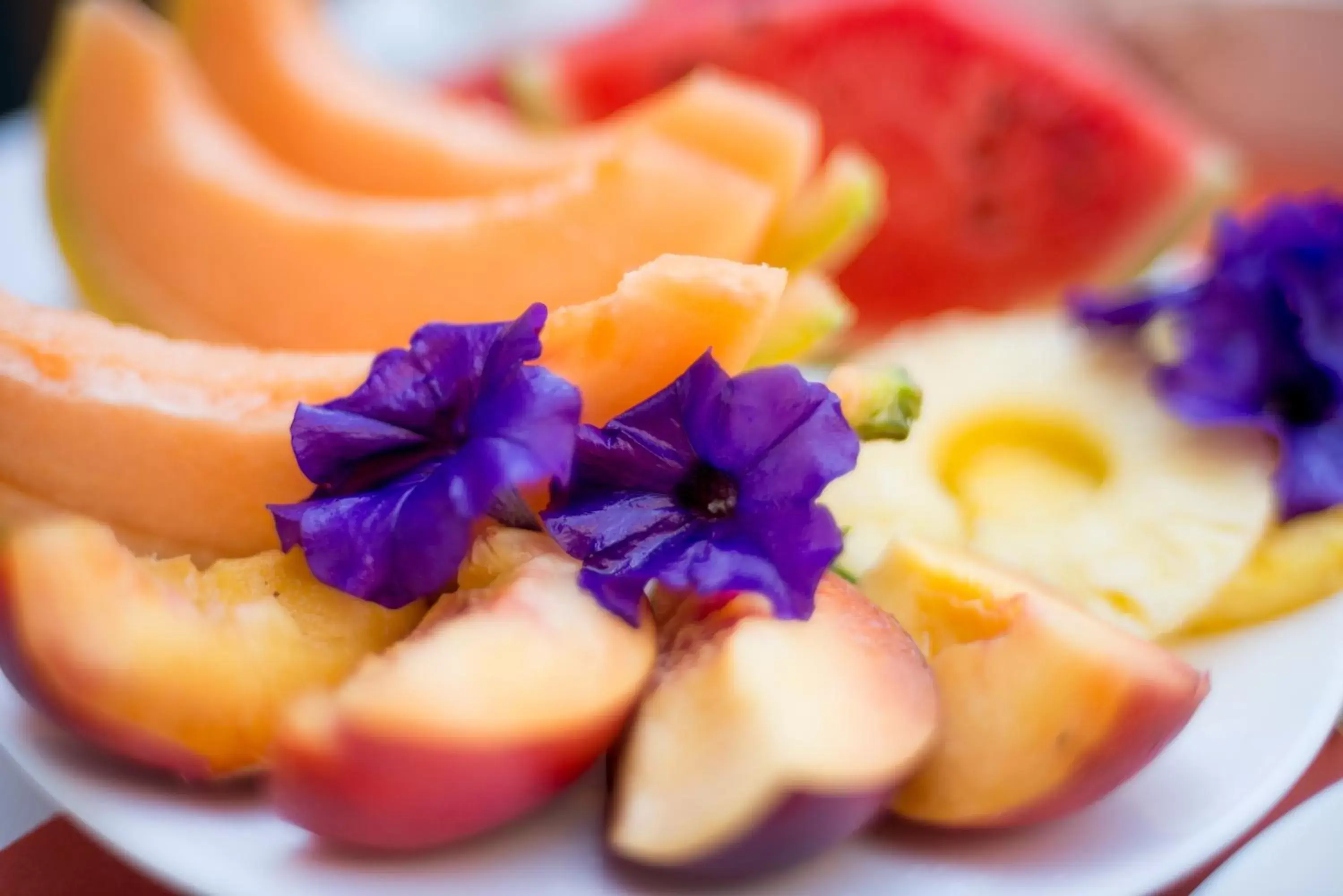 Food close-up in Terra Umbra Hotel